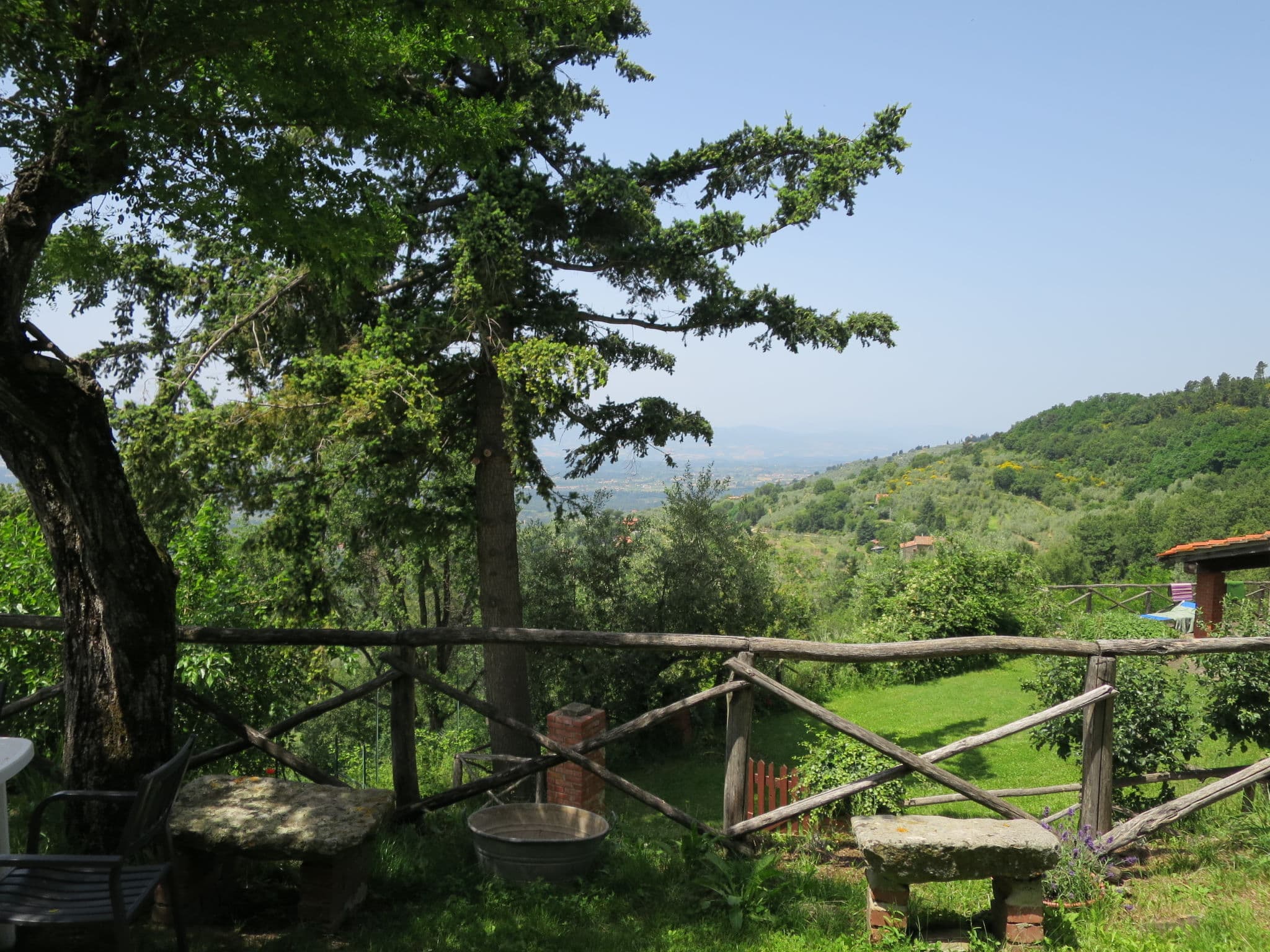 View