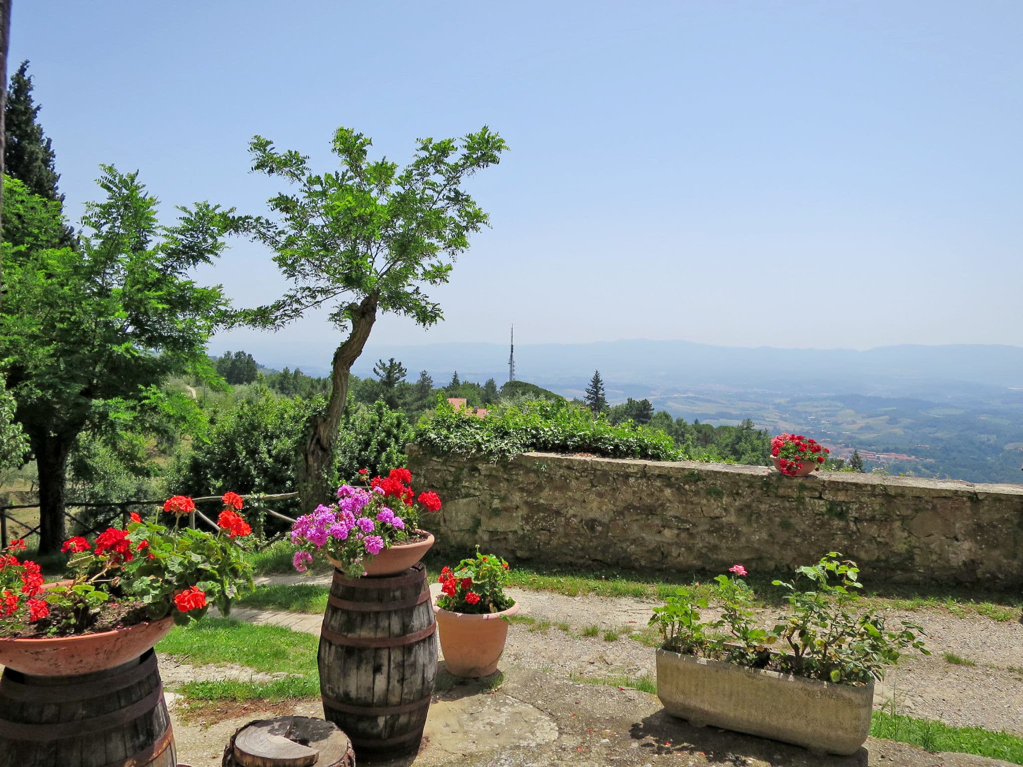 View