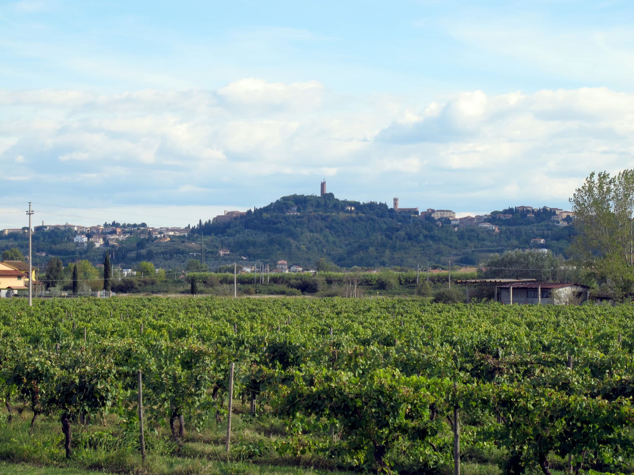 View
