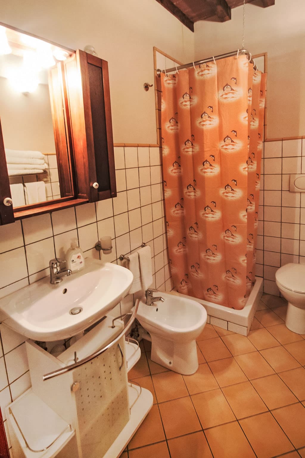 Bathroom / Wellness