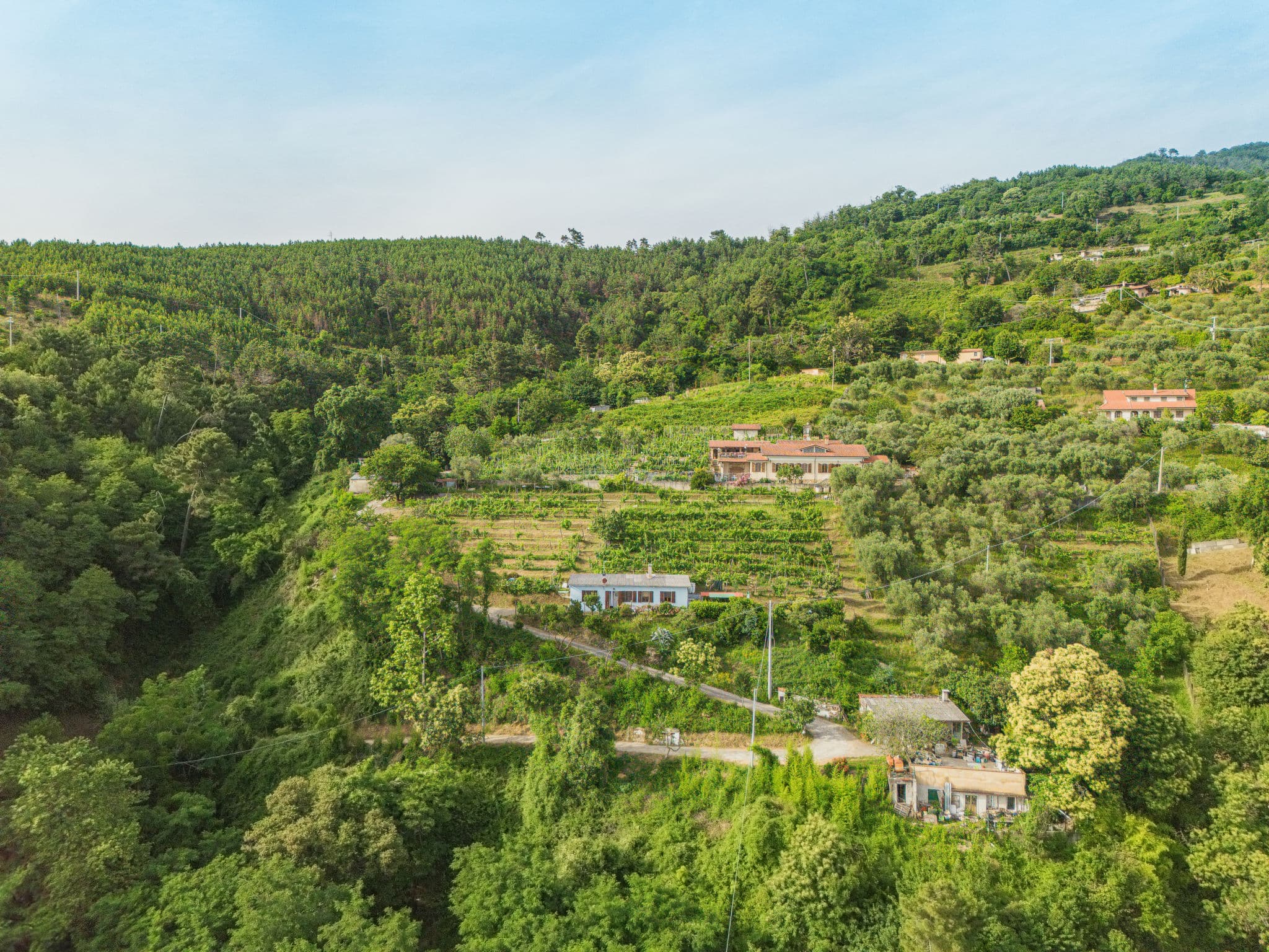 Aerial photography