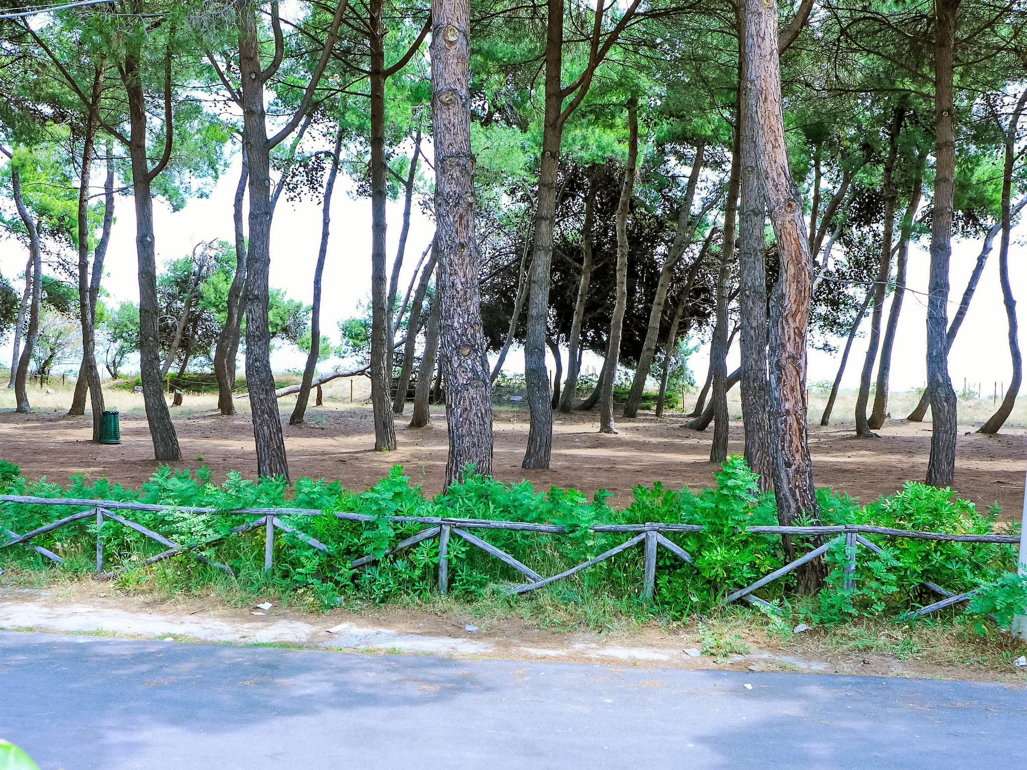 Place