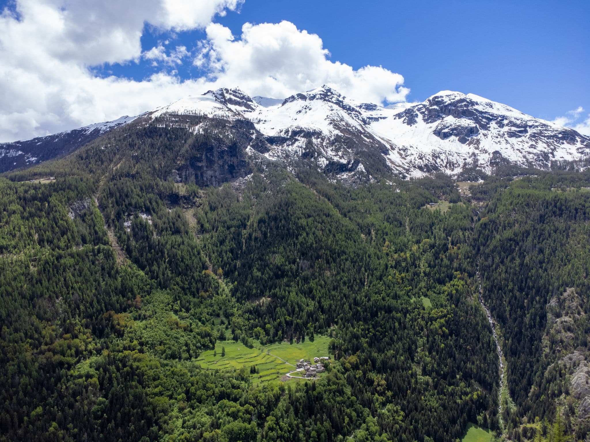 View
