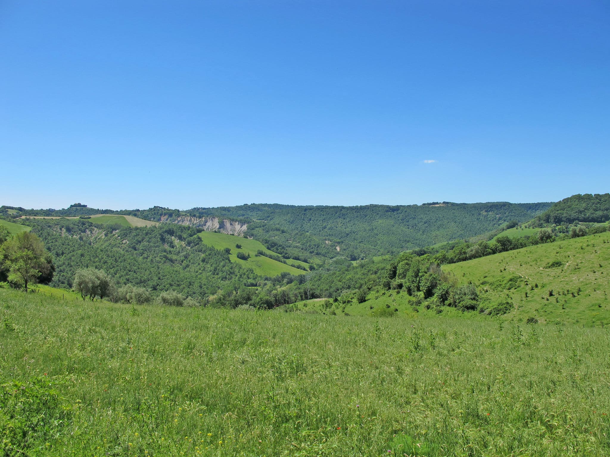 View