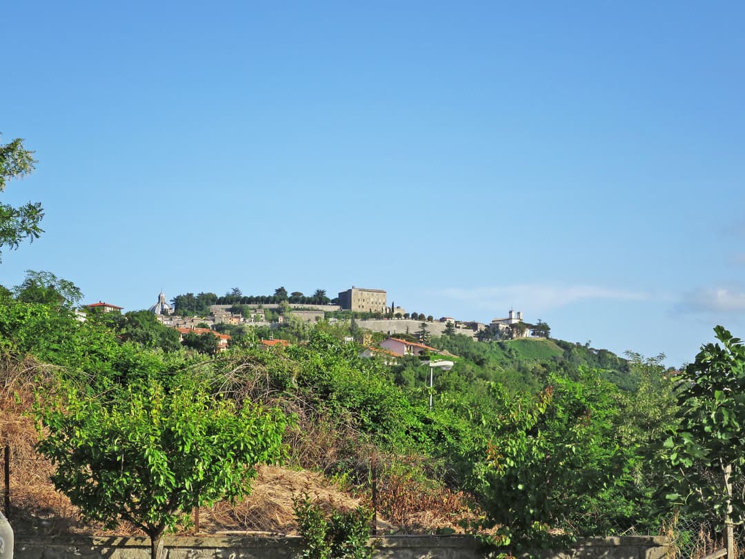 Large Image