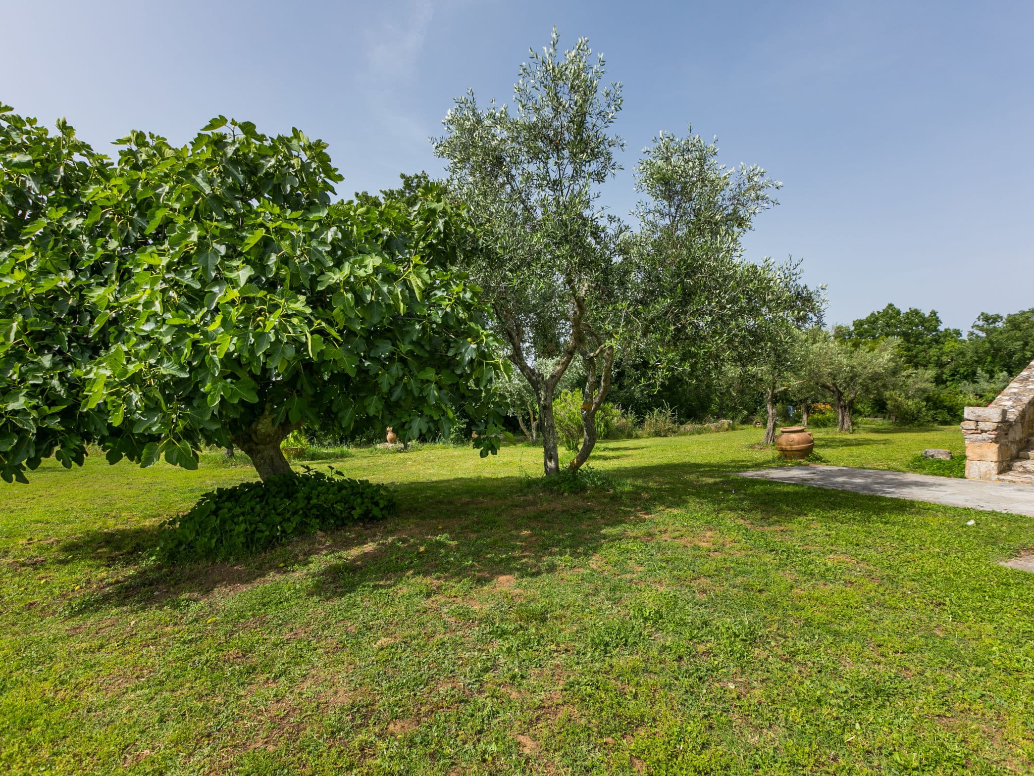 Outdoor