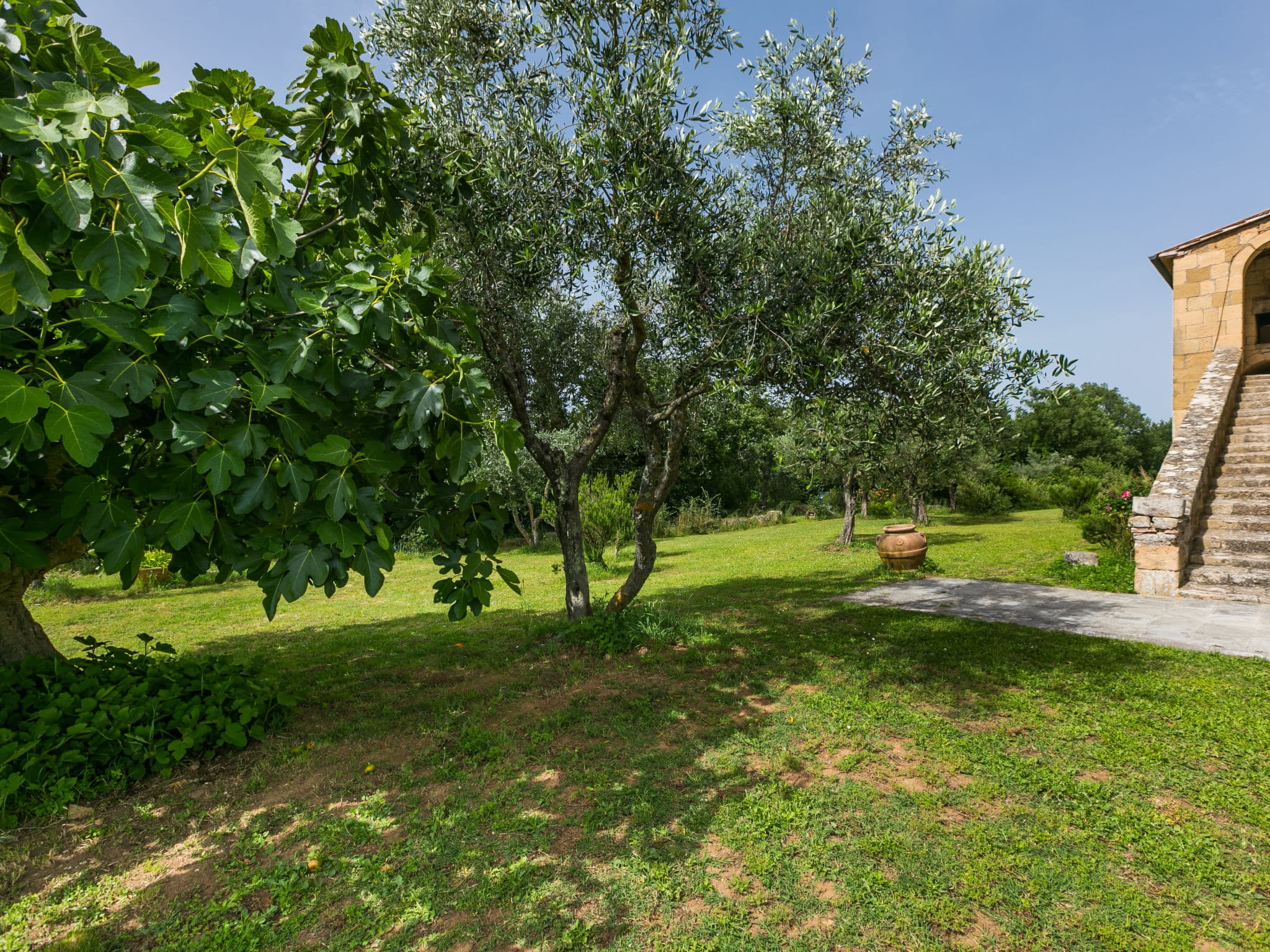 Outdoor