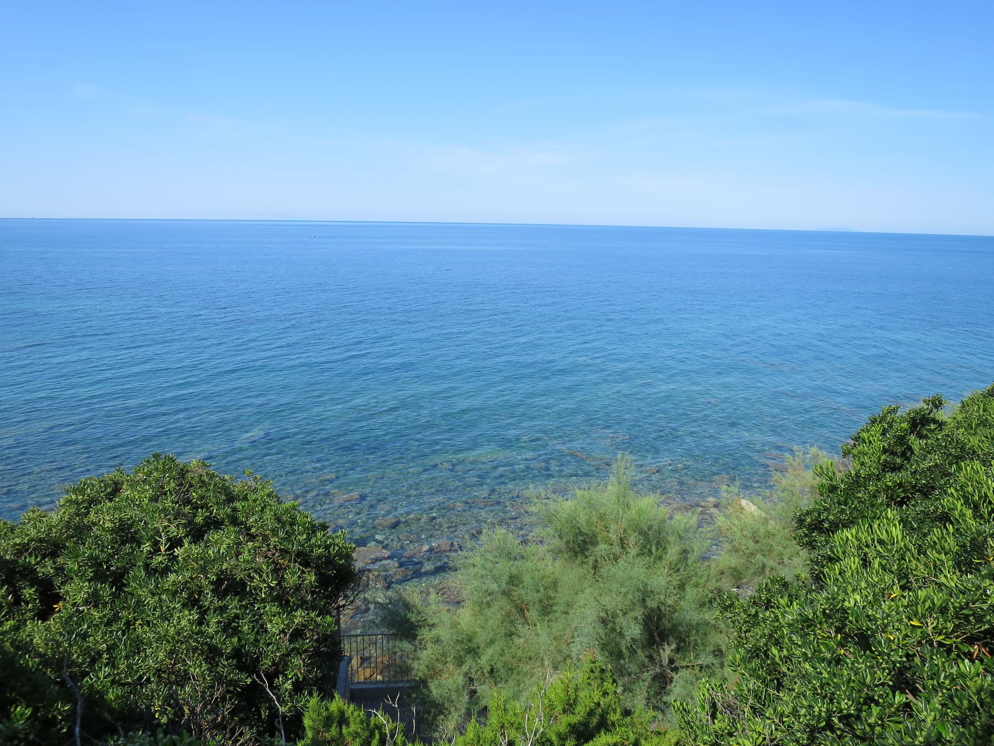 View