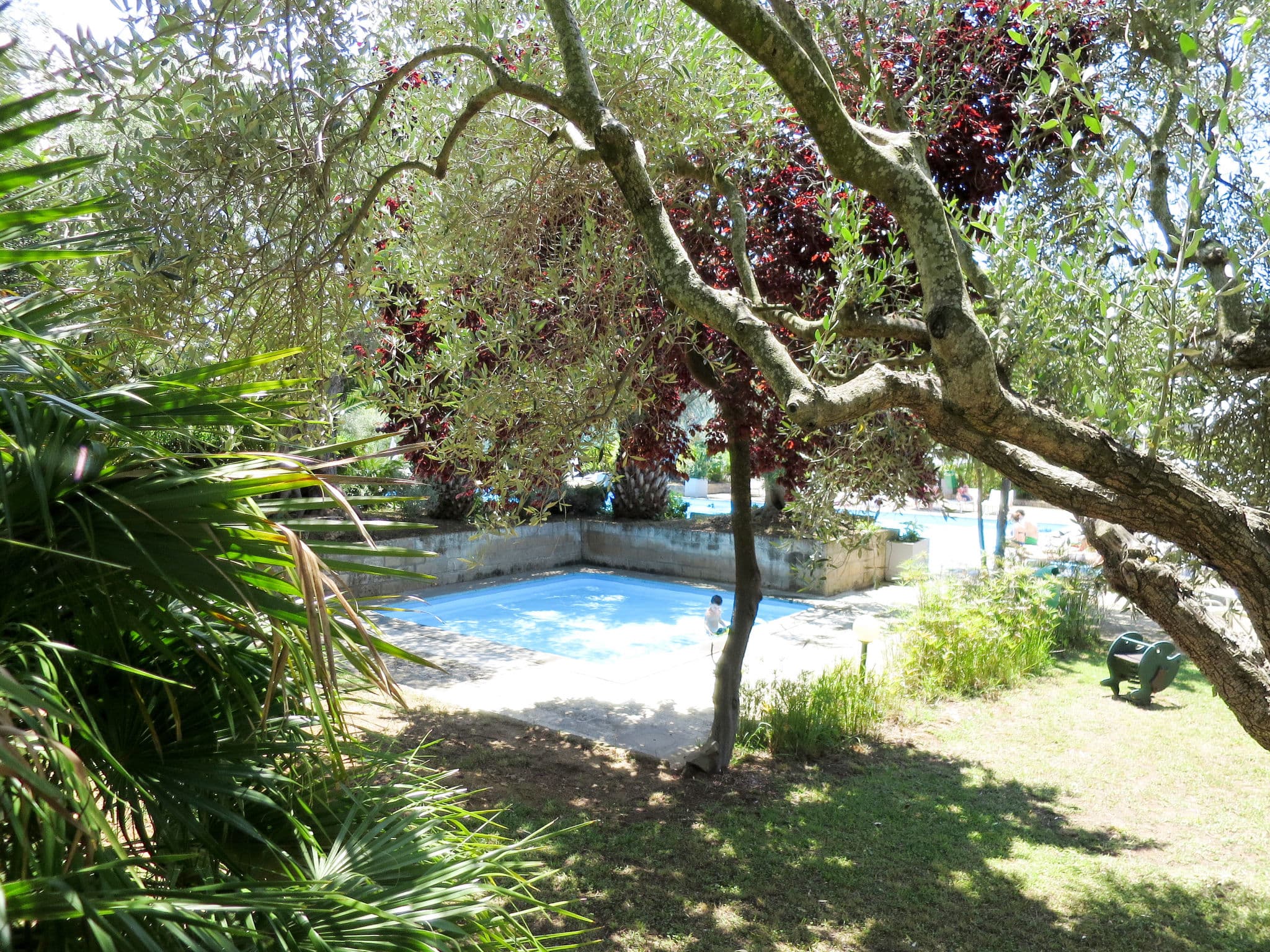 Pool Outdoor