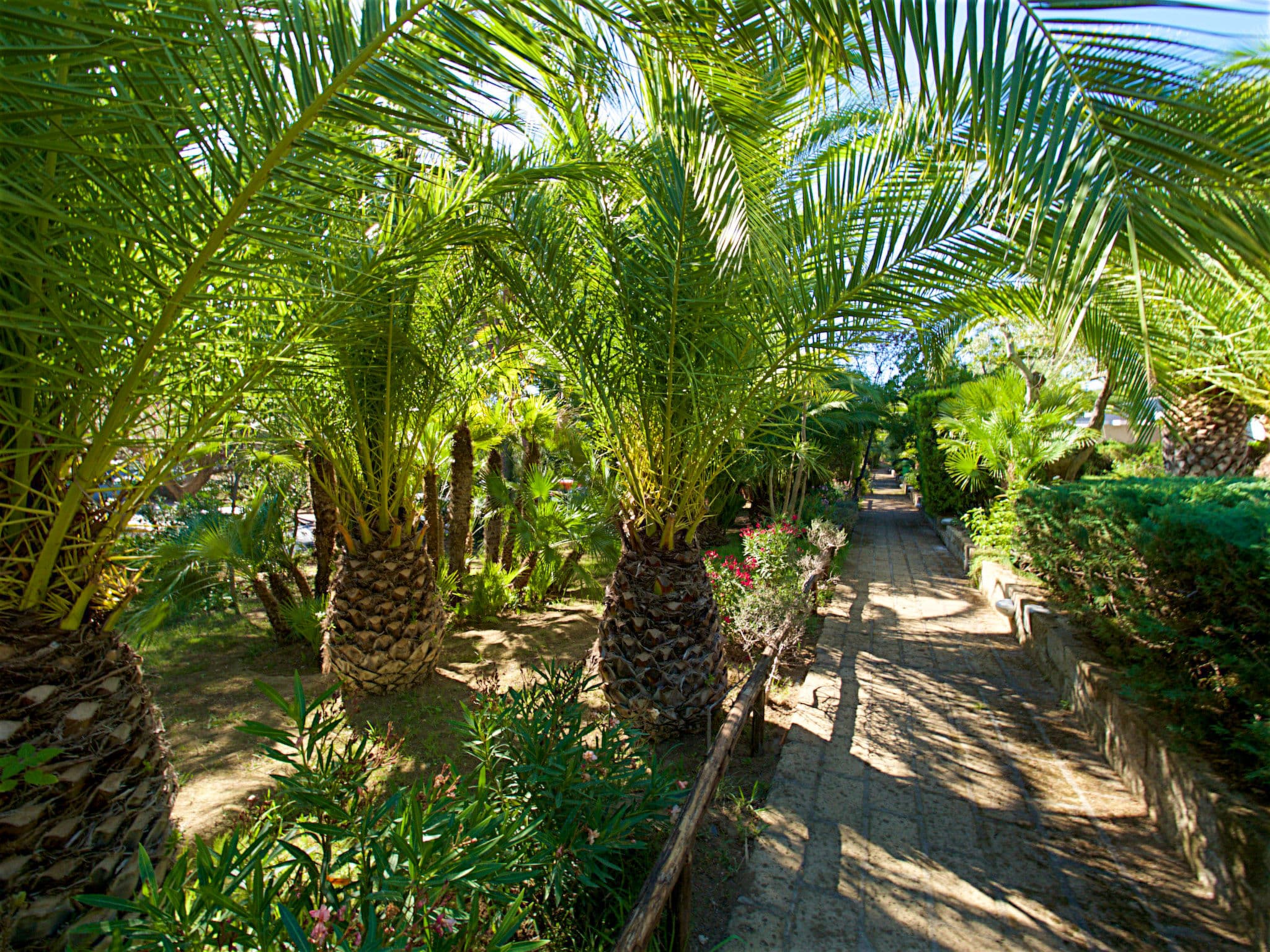 Outdoor