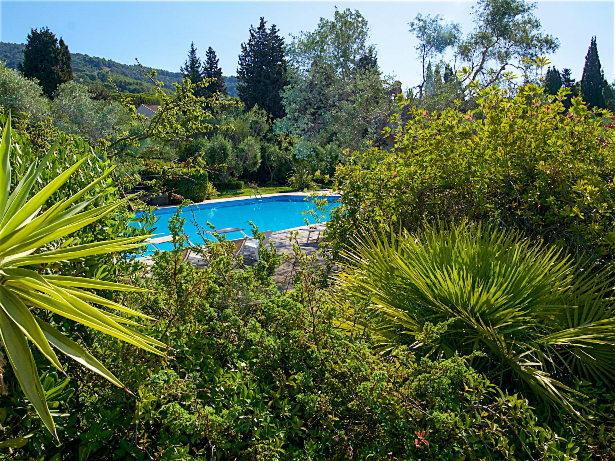 Pool Outdoor