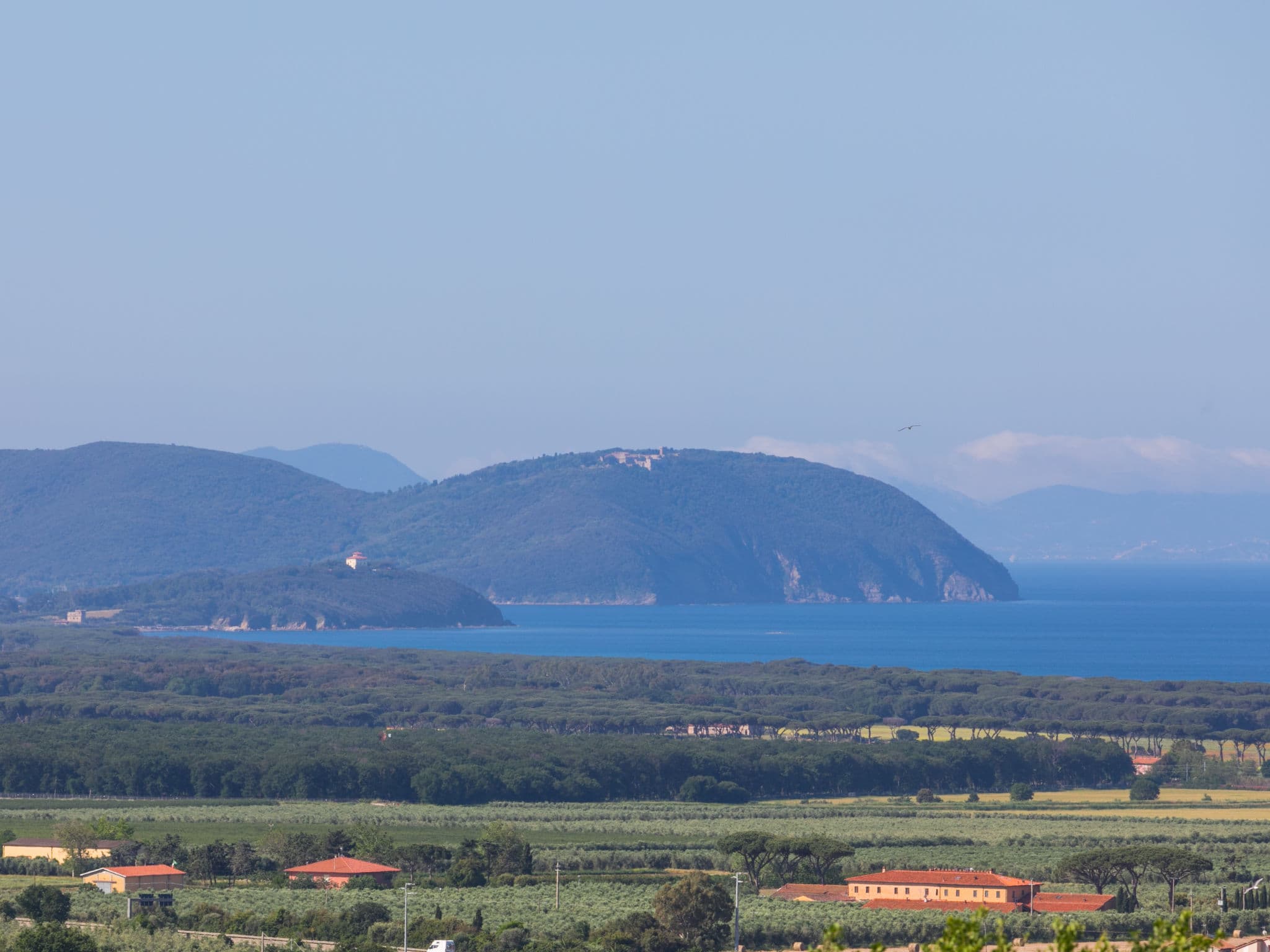 View