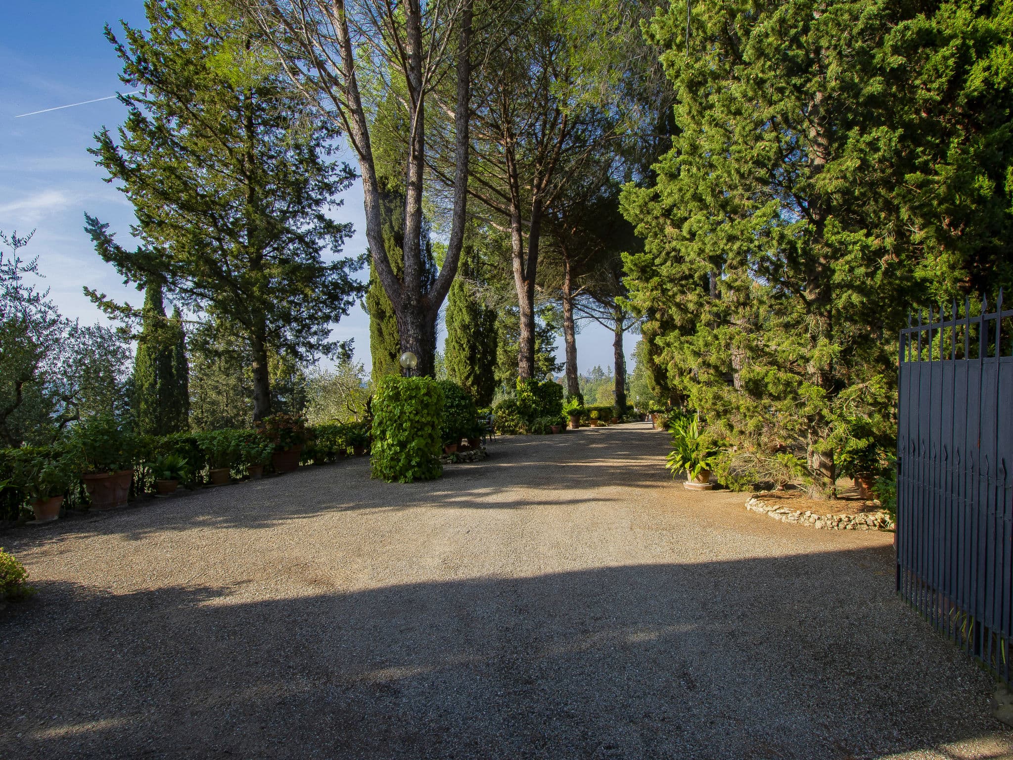 View