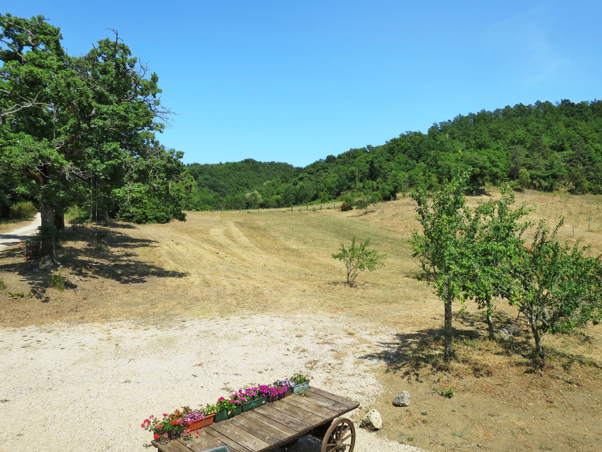 Place