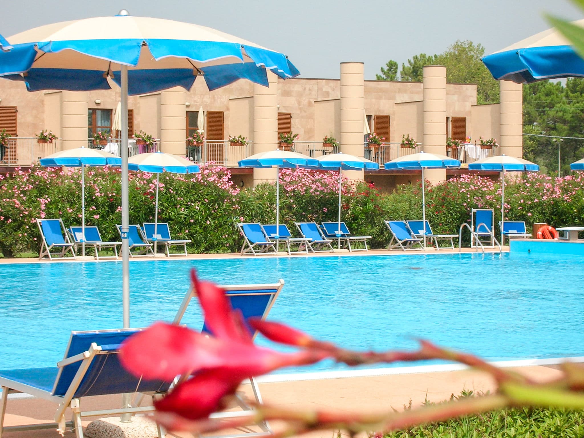Pool Outdoor