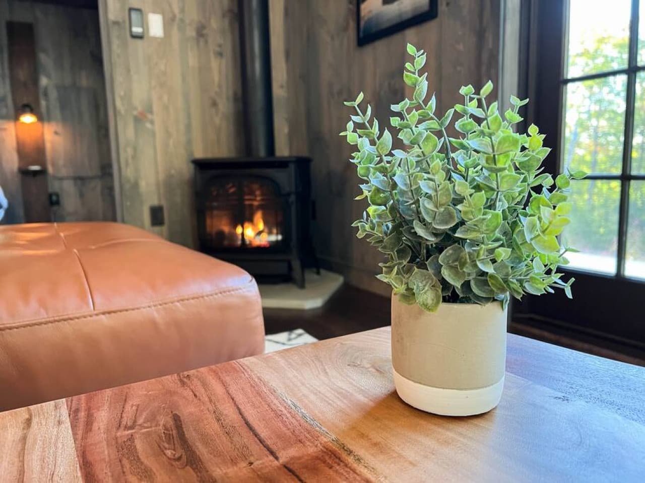 relax by the fire
