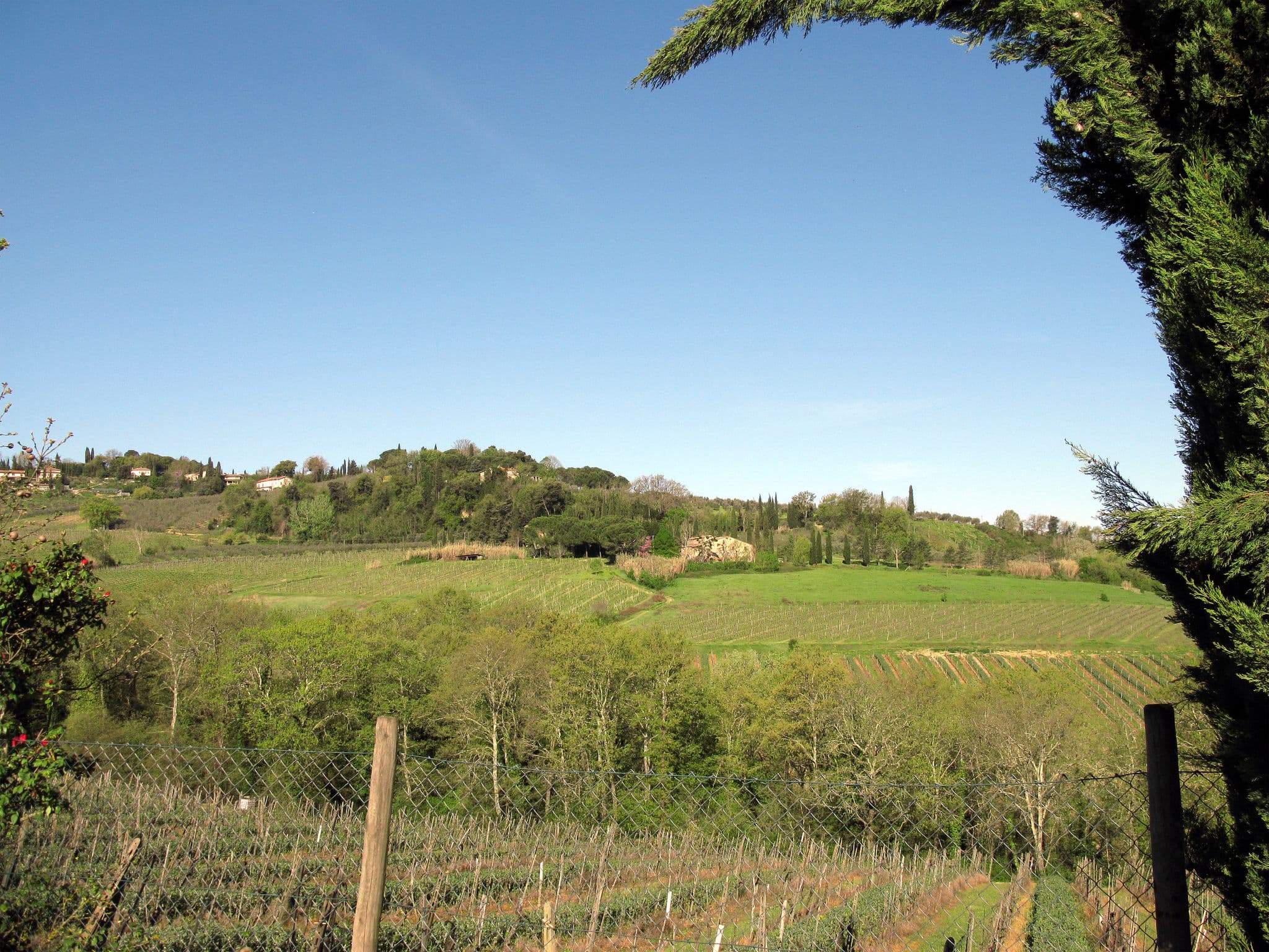 View