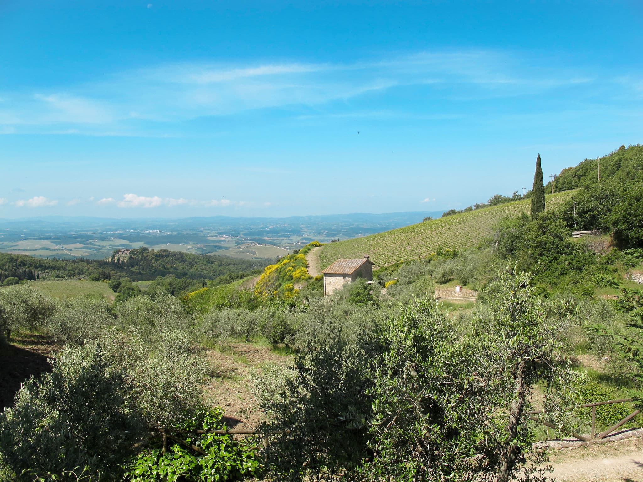 View