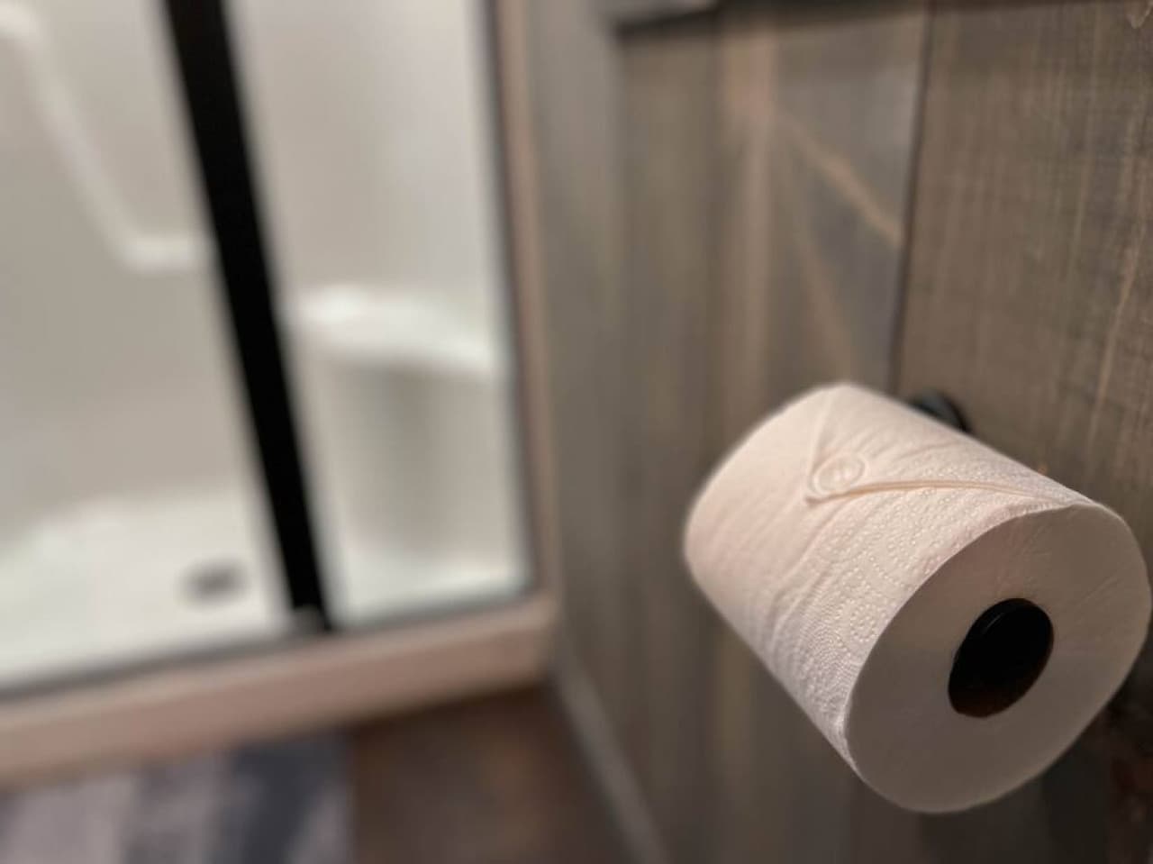 Fancy toilet paper