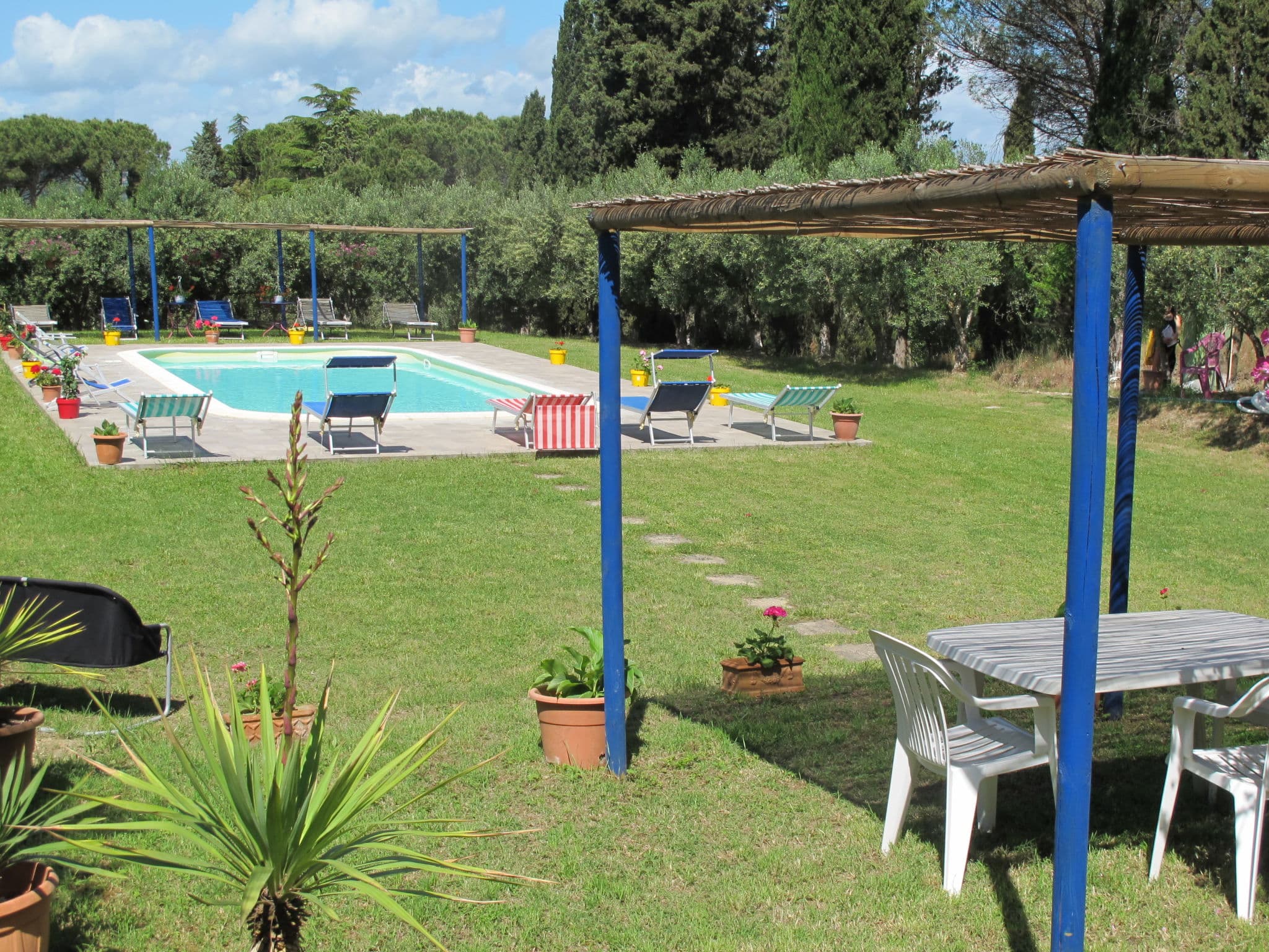 Pool Outdoor