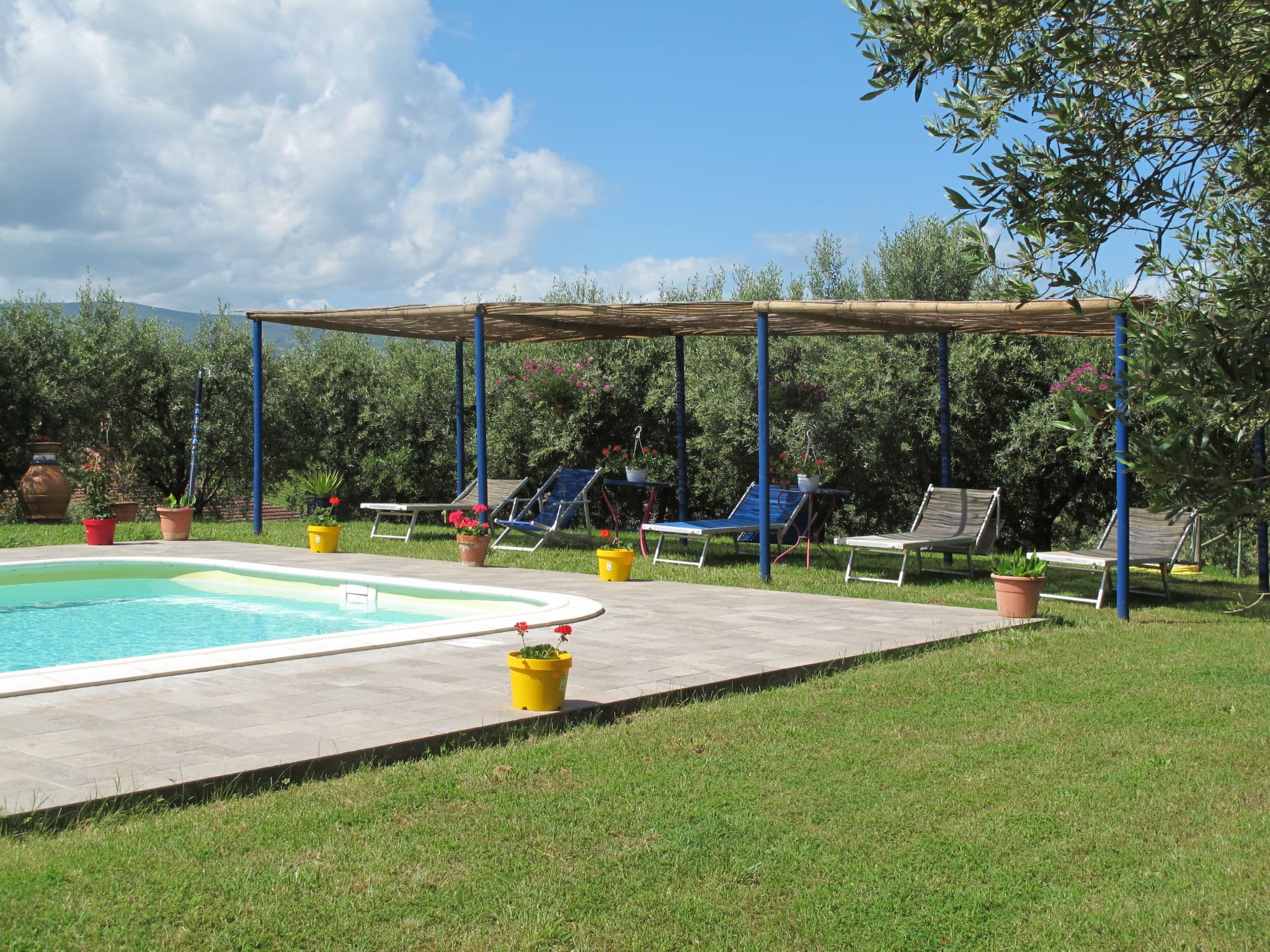 Pool Outdoor