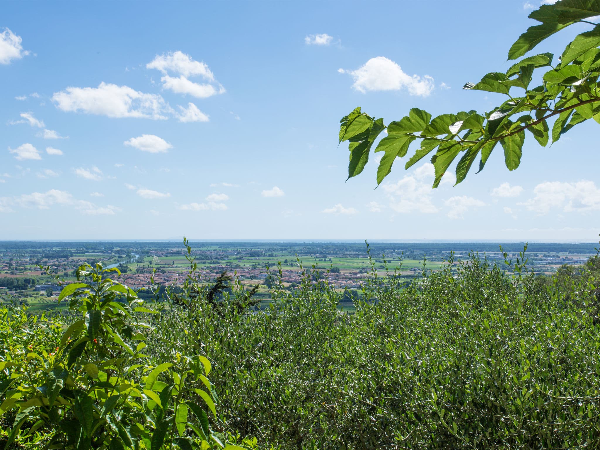 View