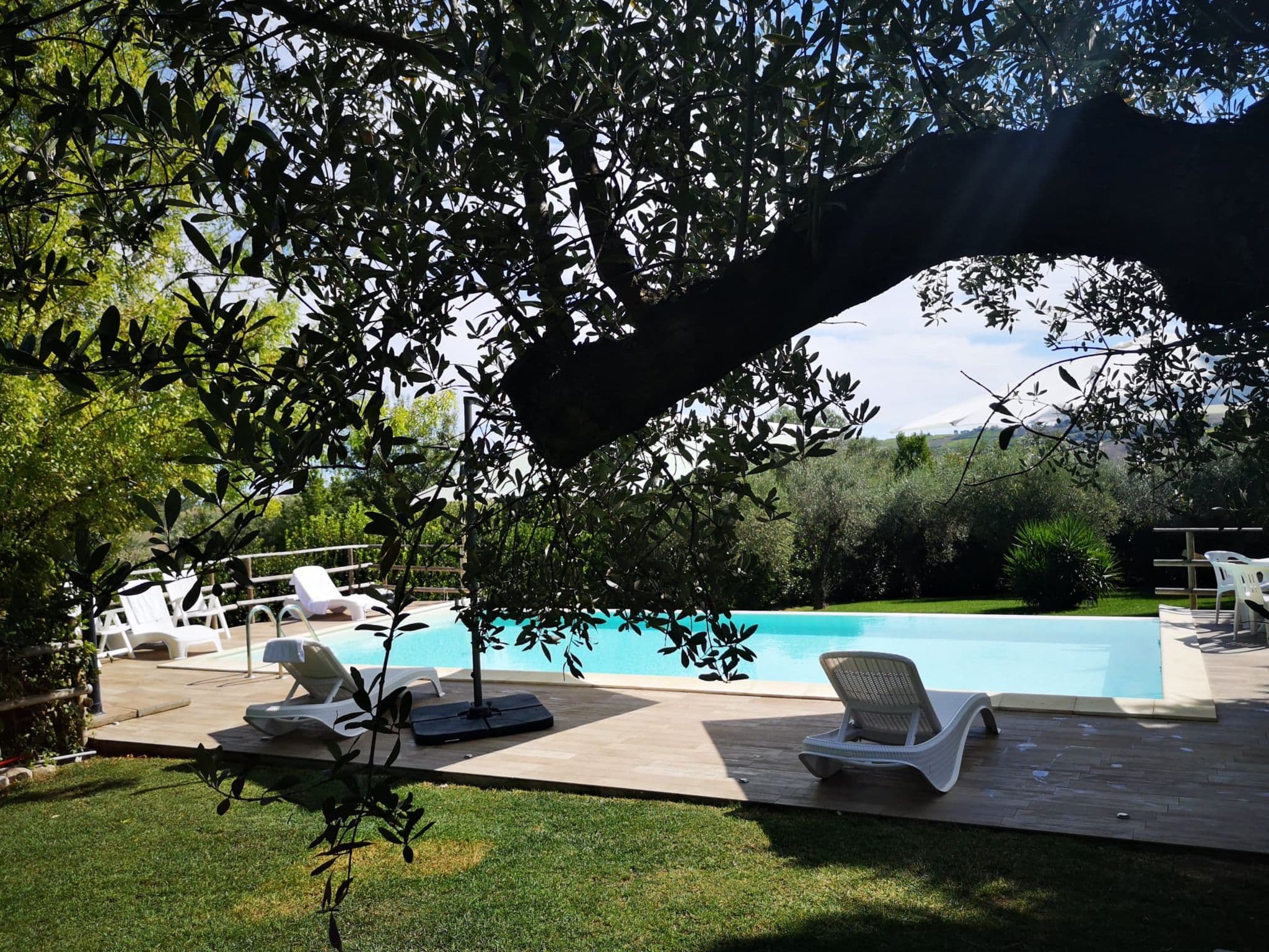 Pool Outdoor