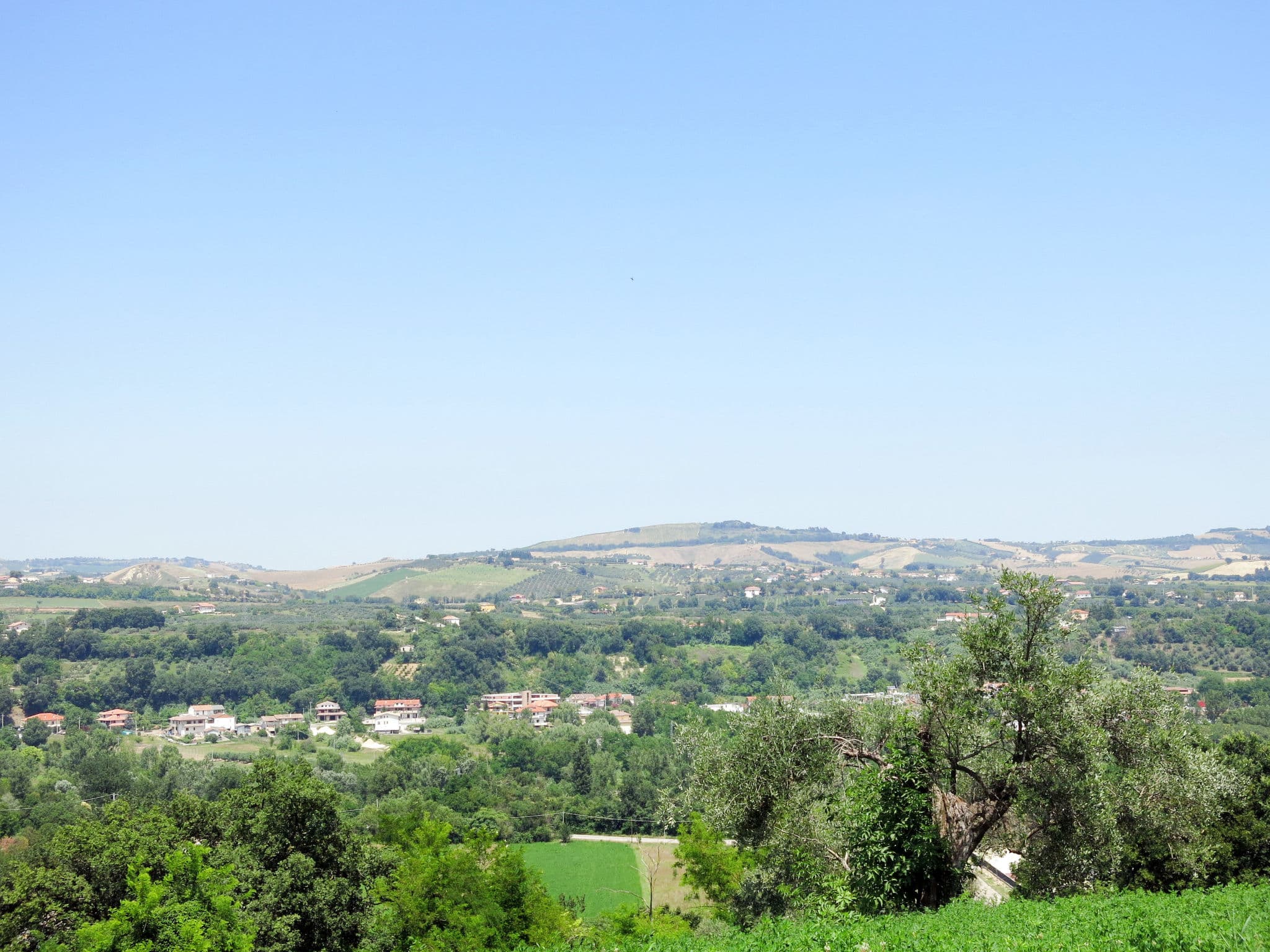View