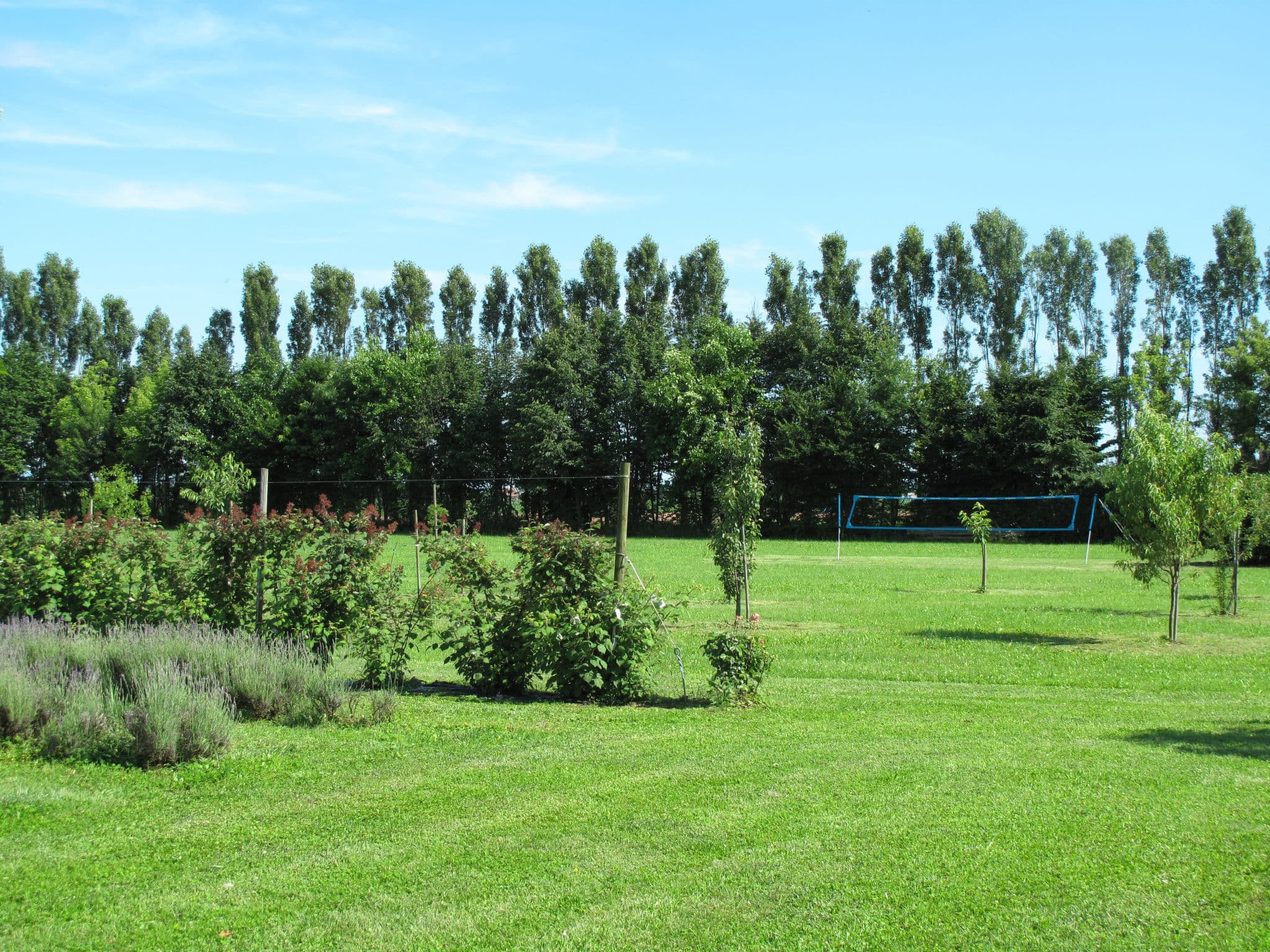 Outdoor