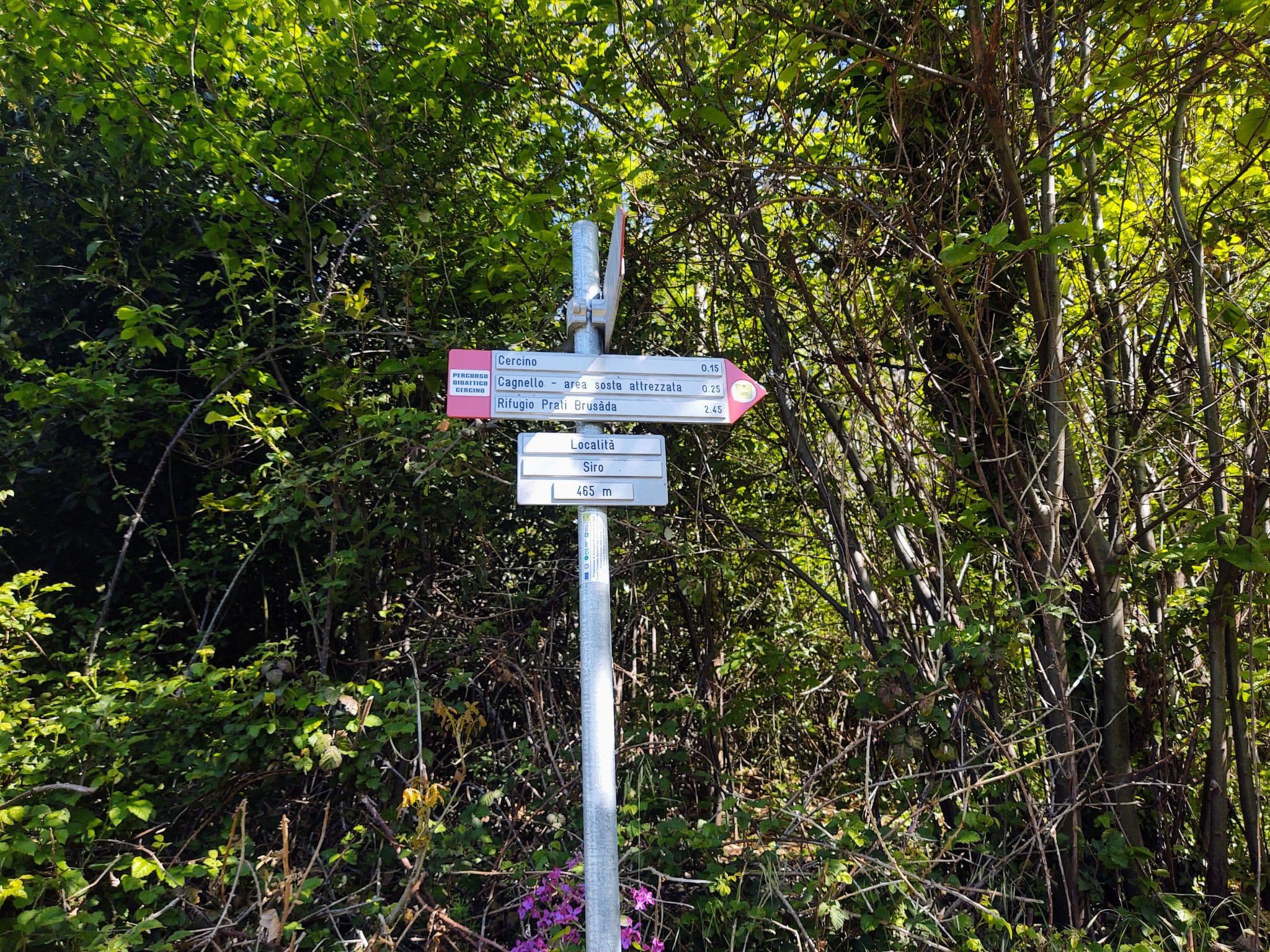 Place