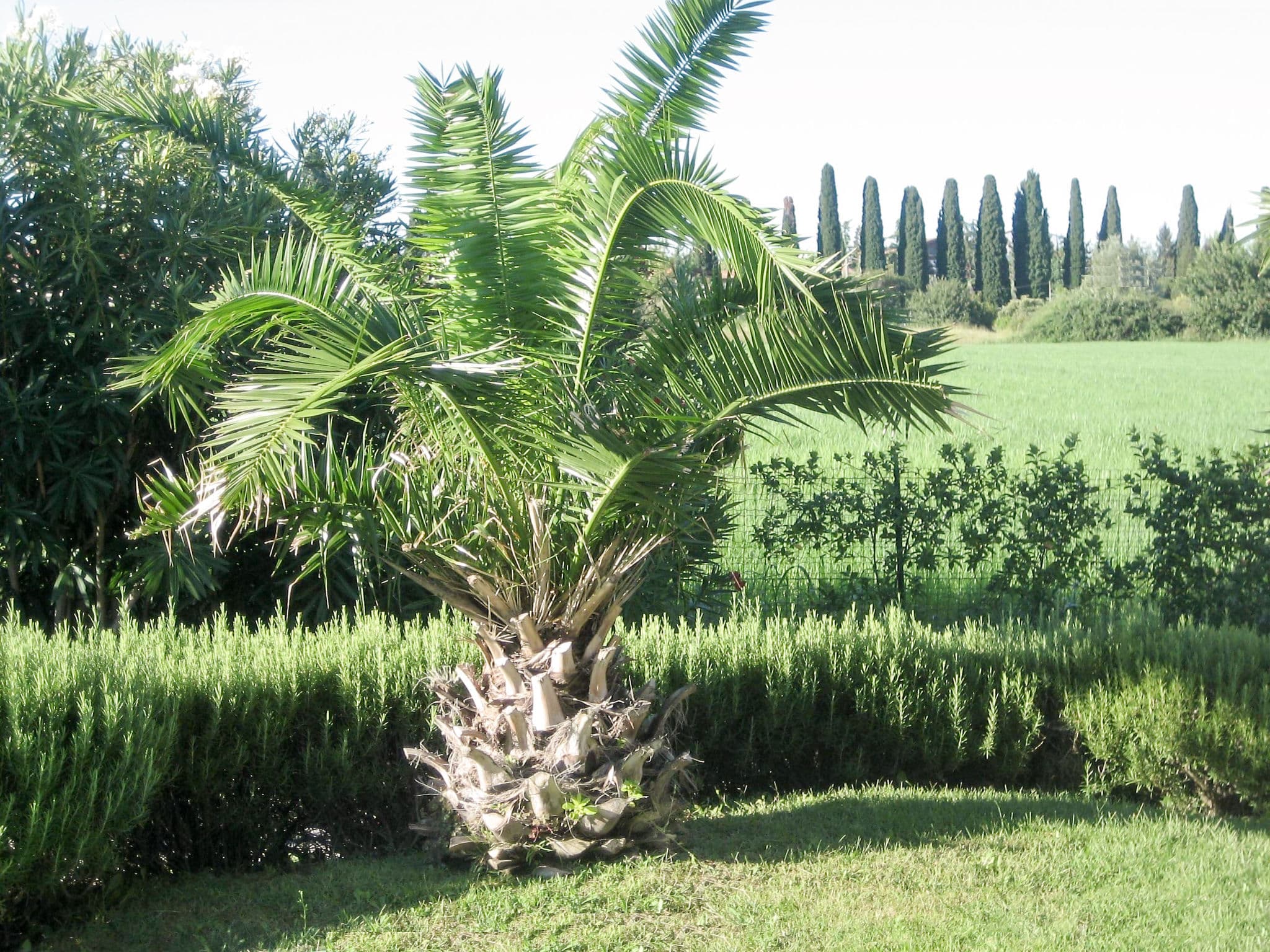 Outdoor