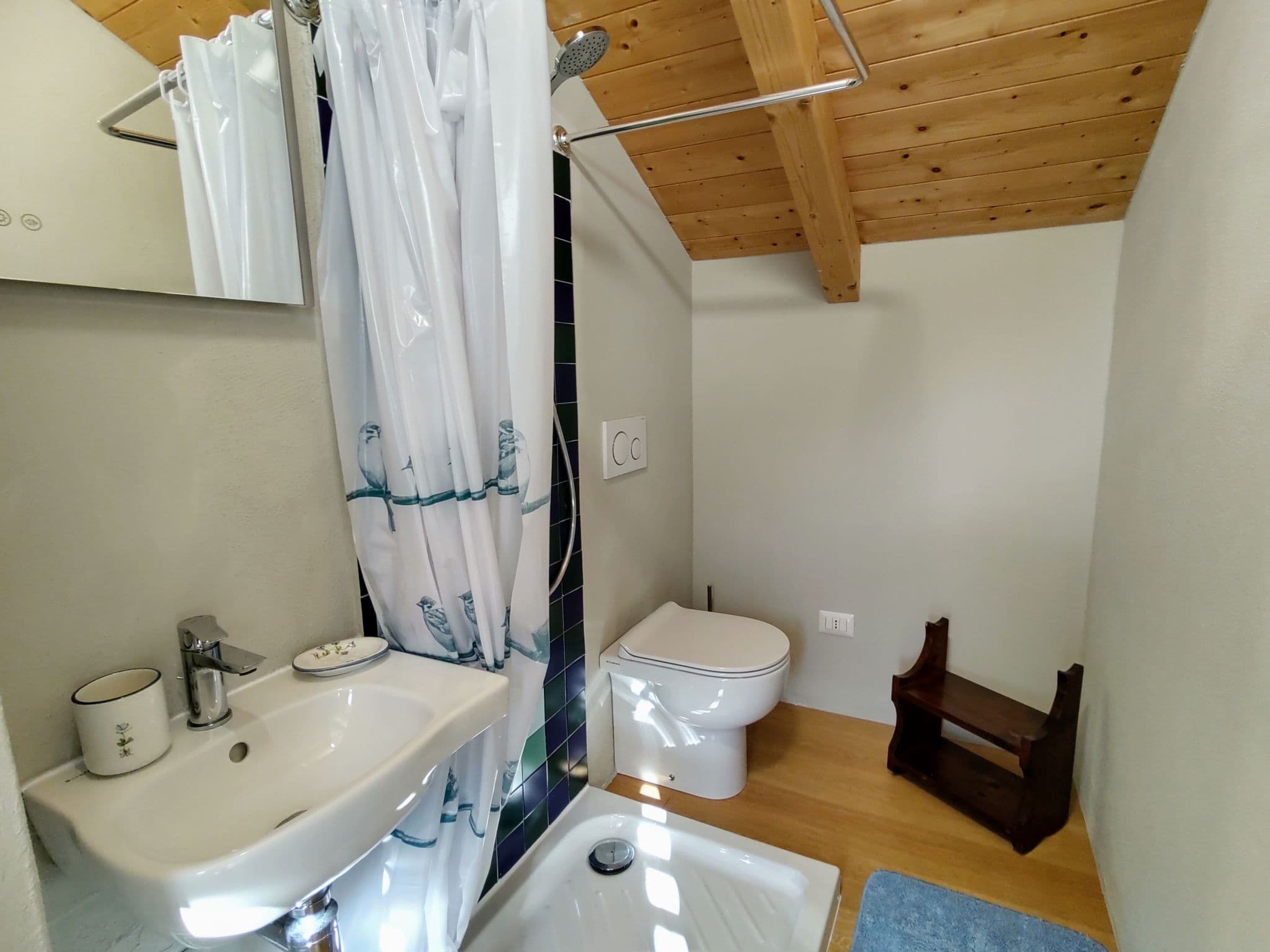 Bathroom / Wellness