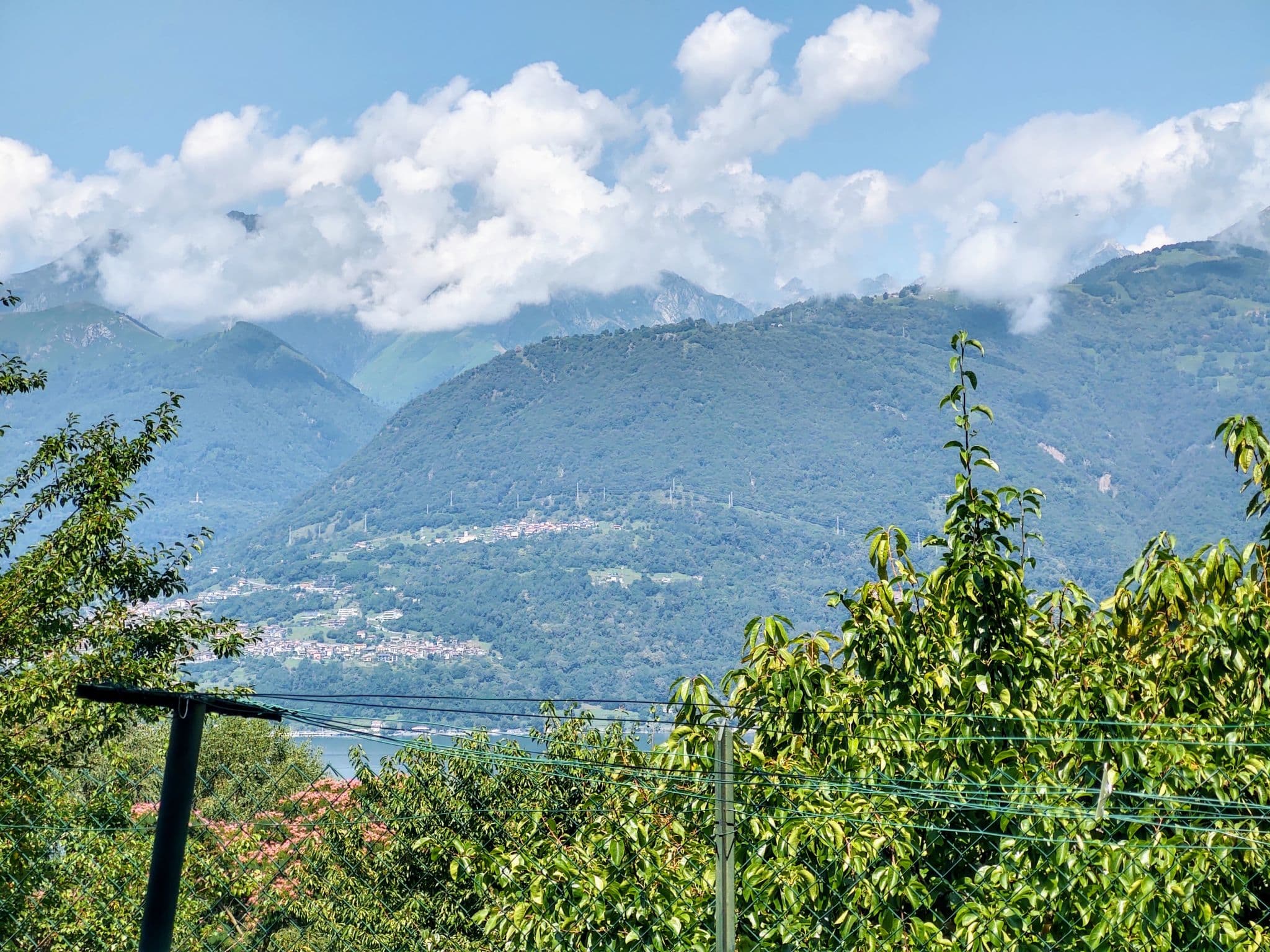 View