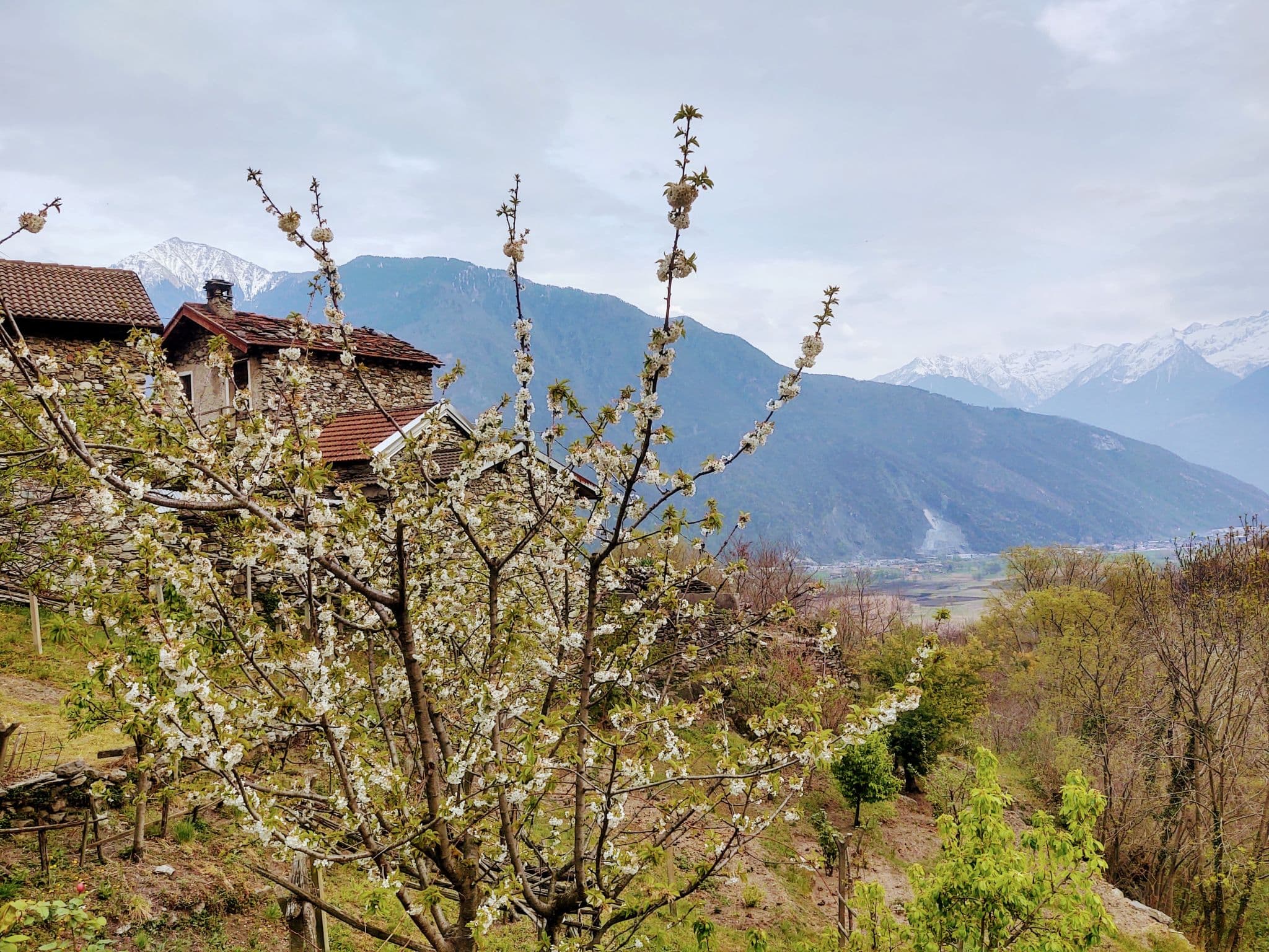 View