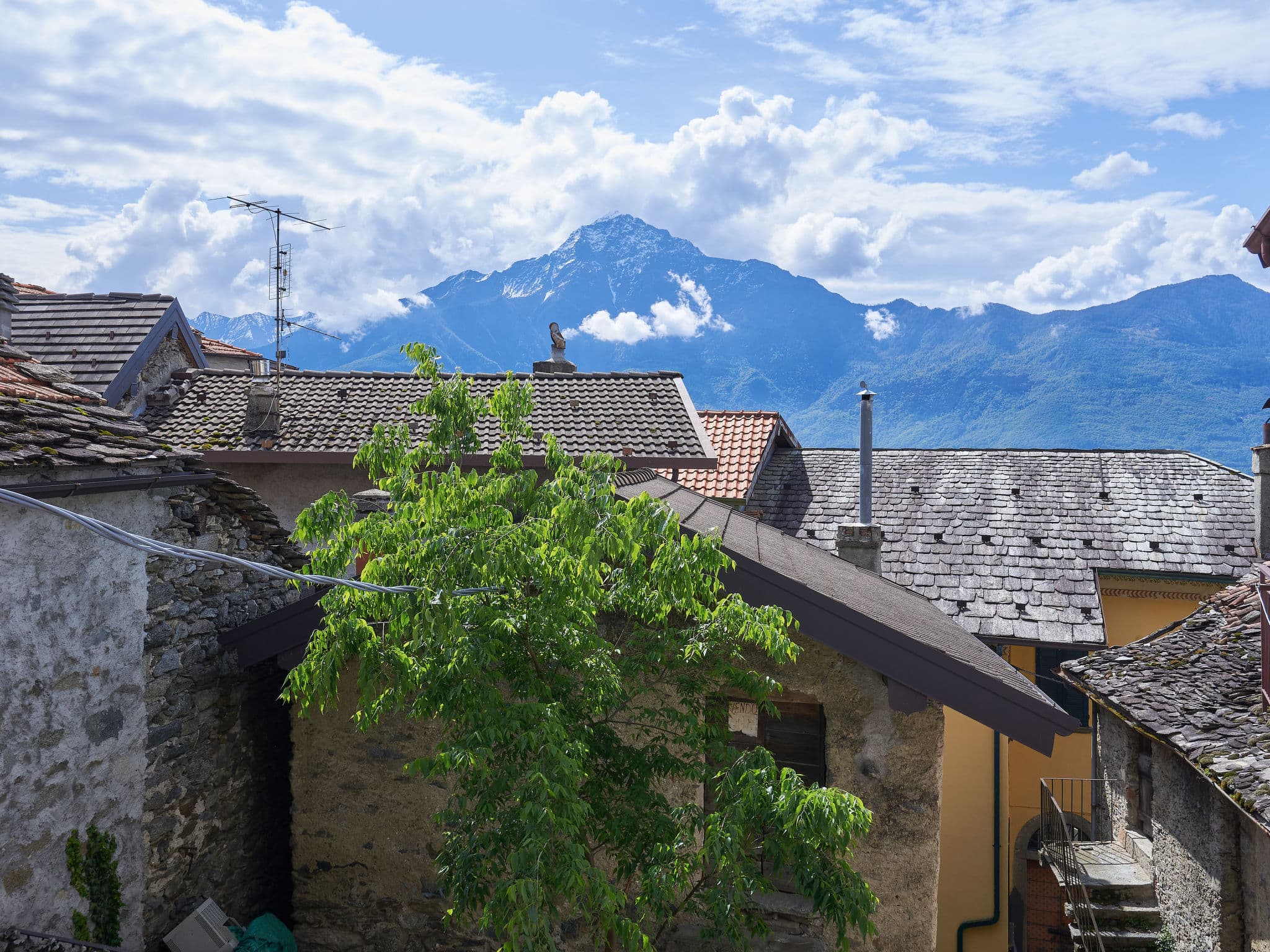 View
