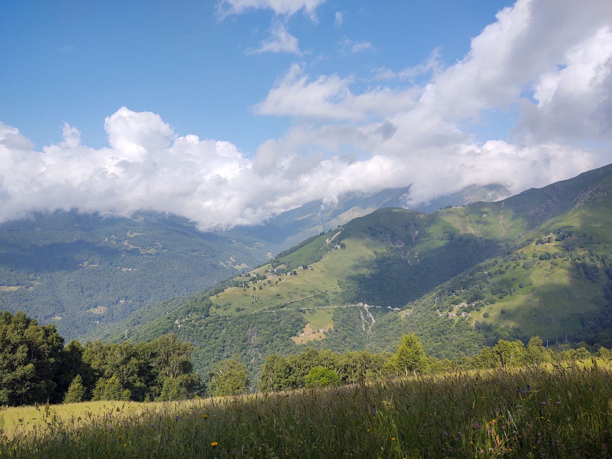 View