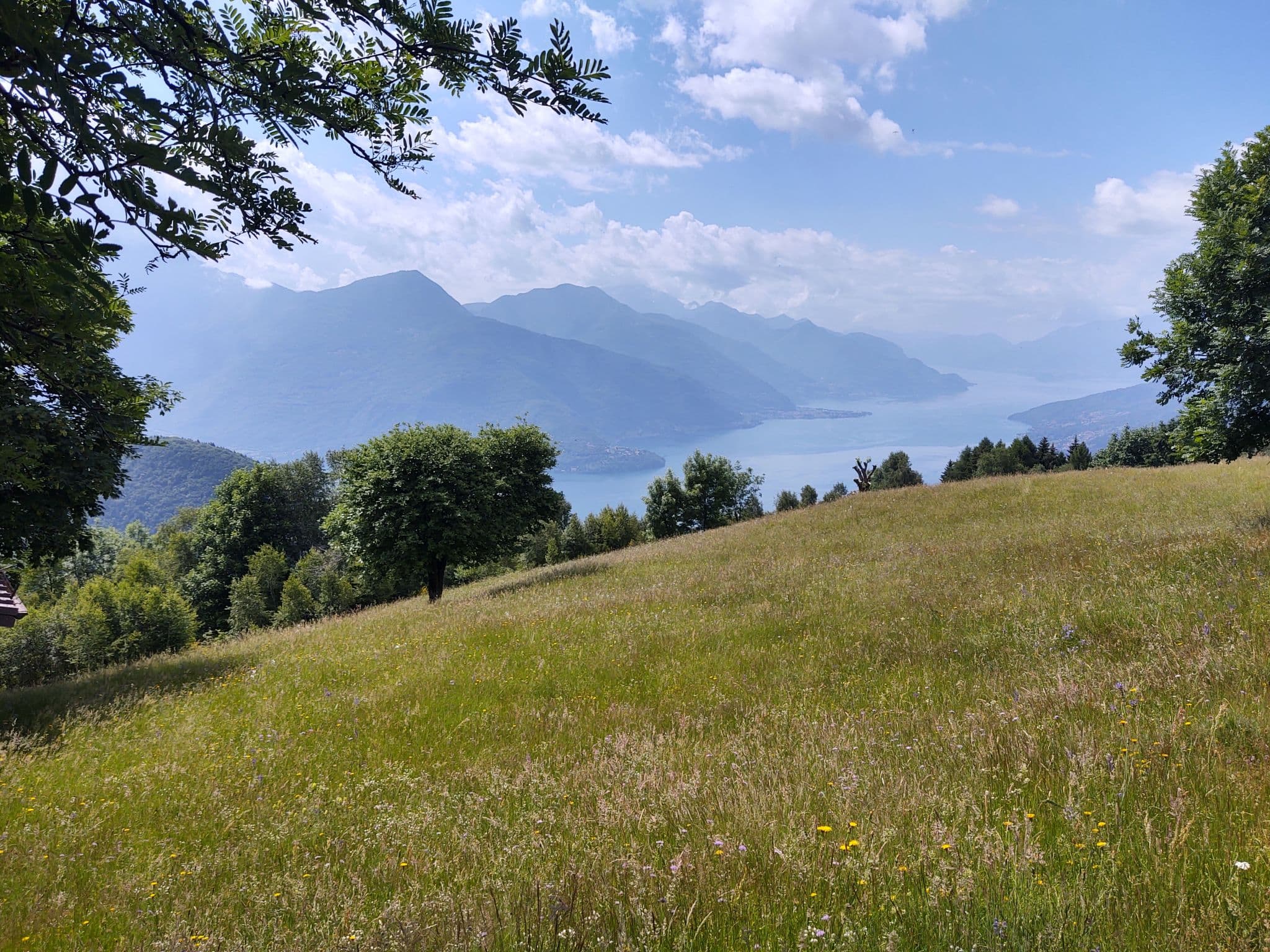 View