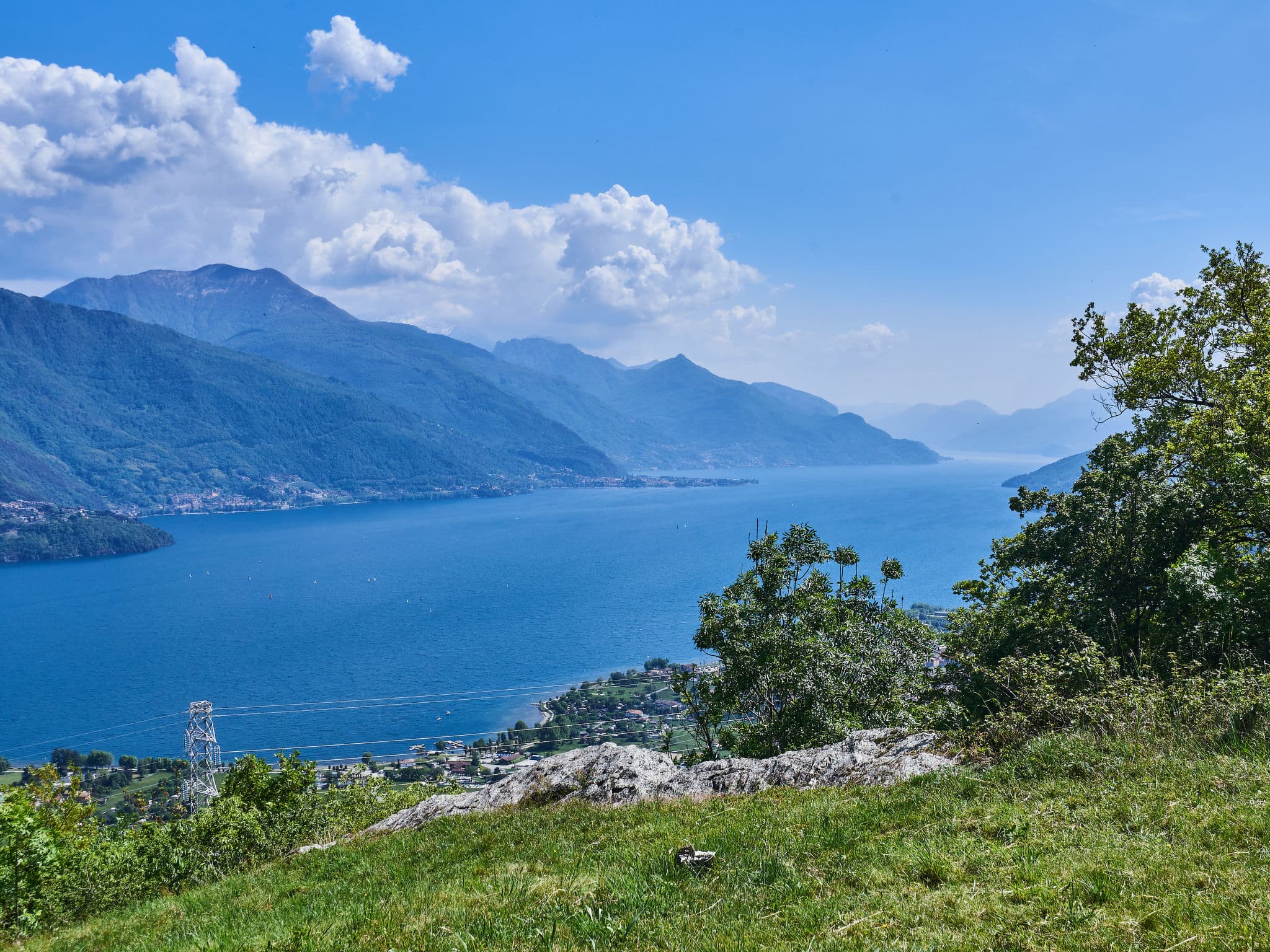 View