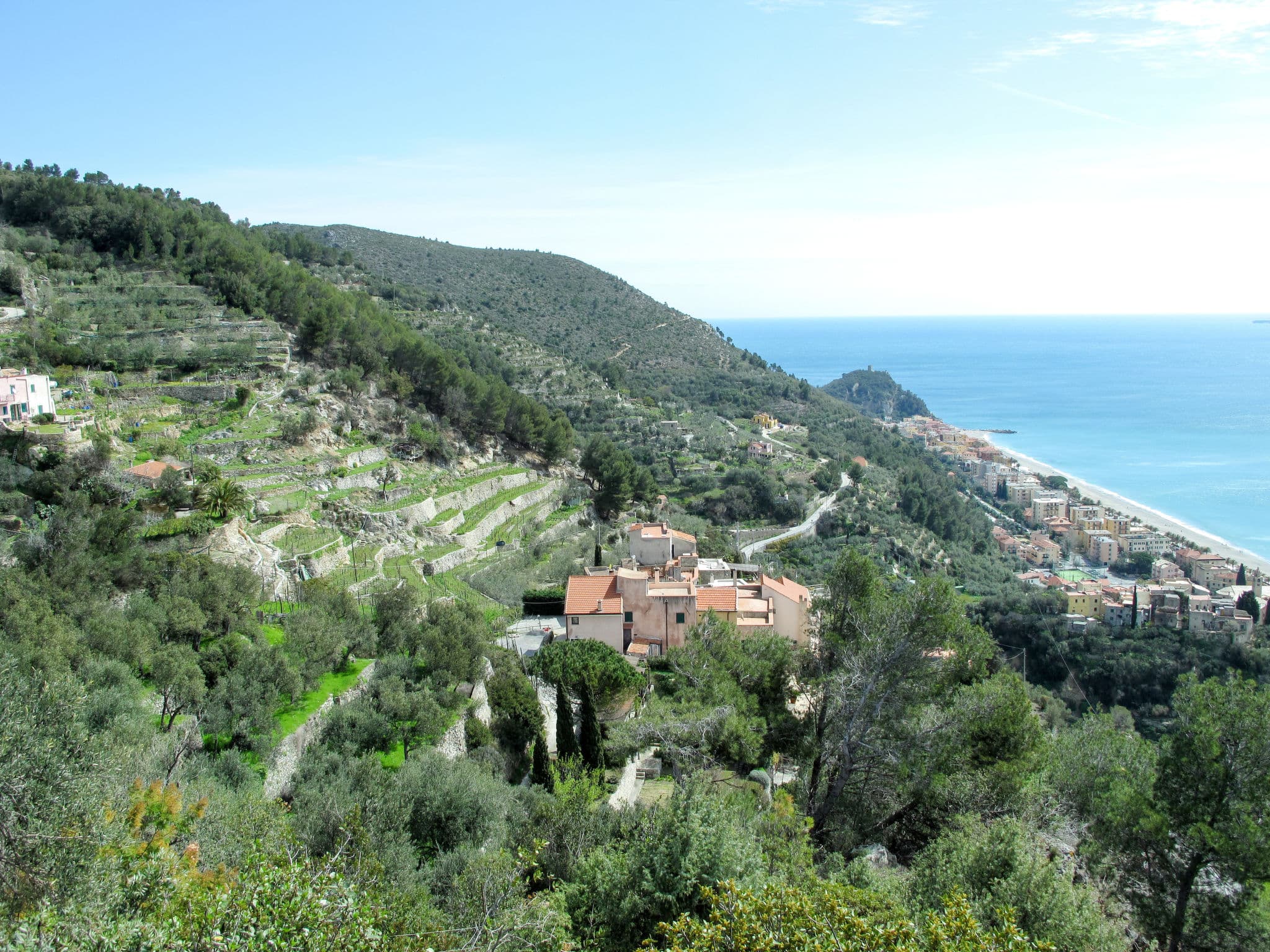 View