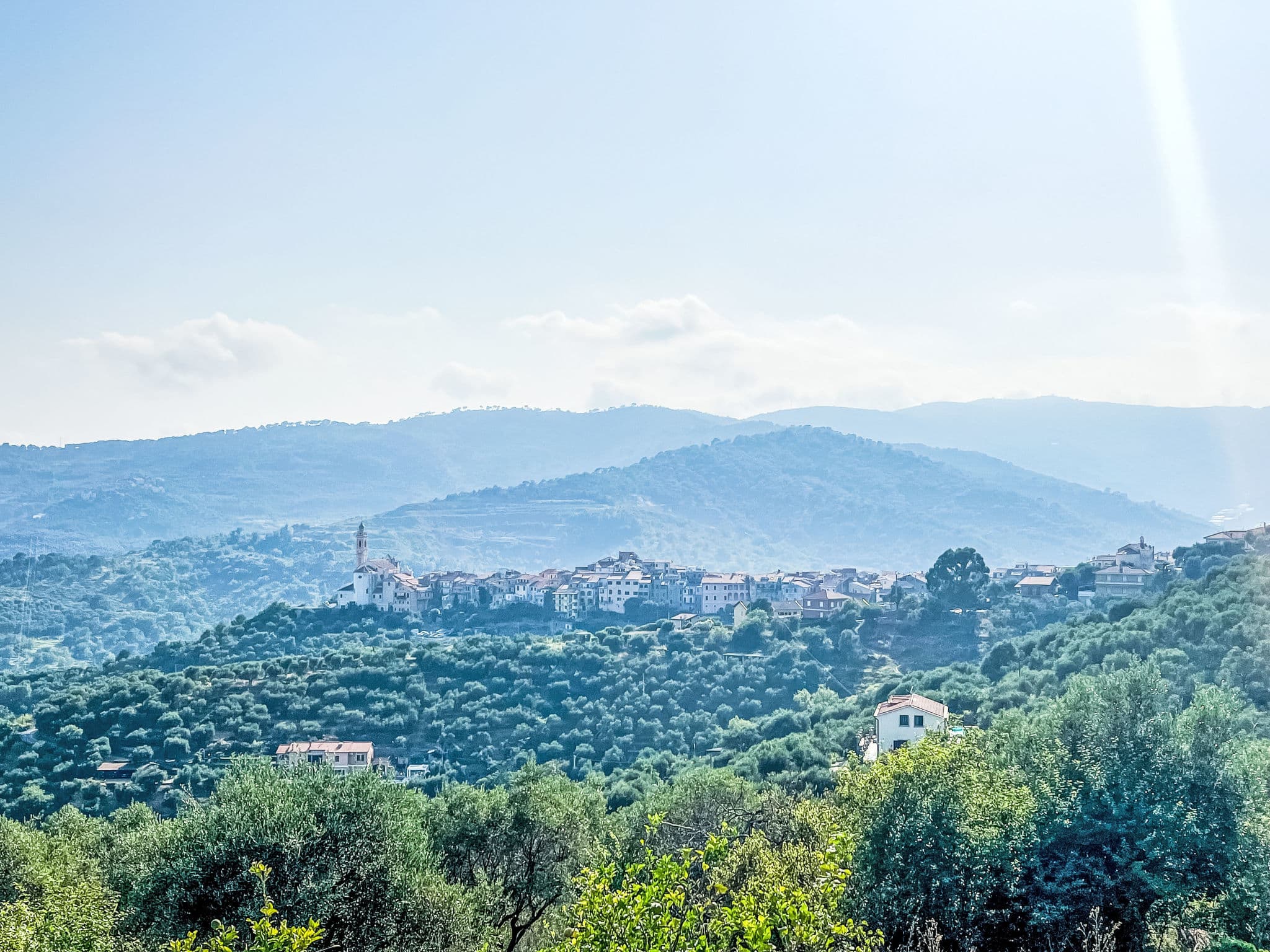 View