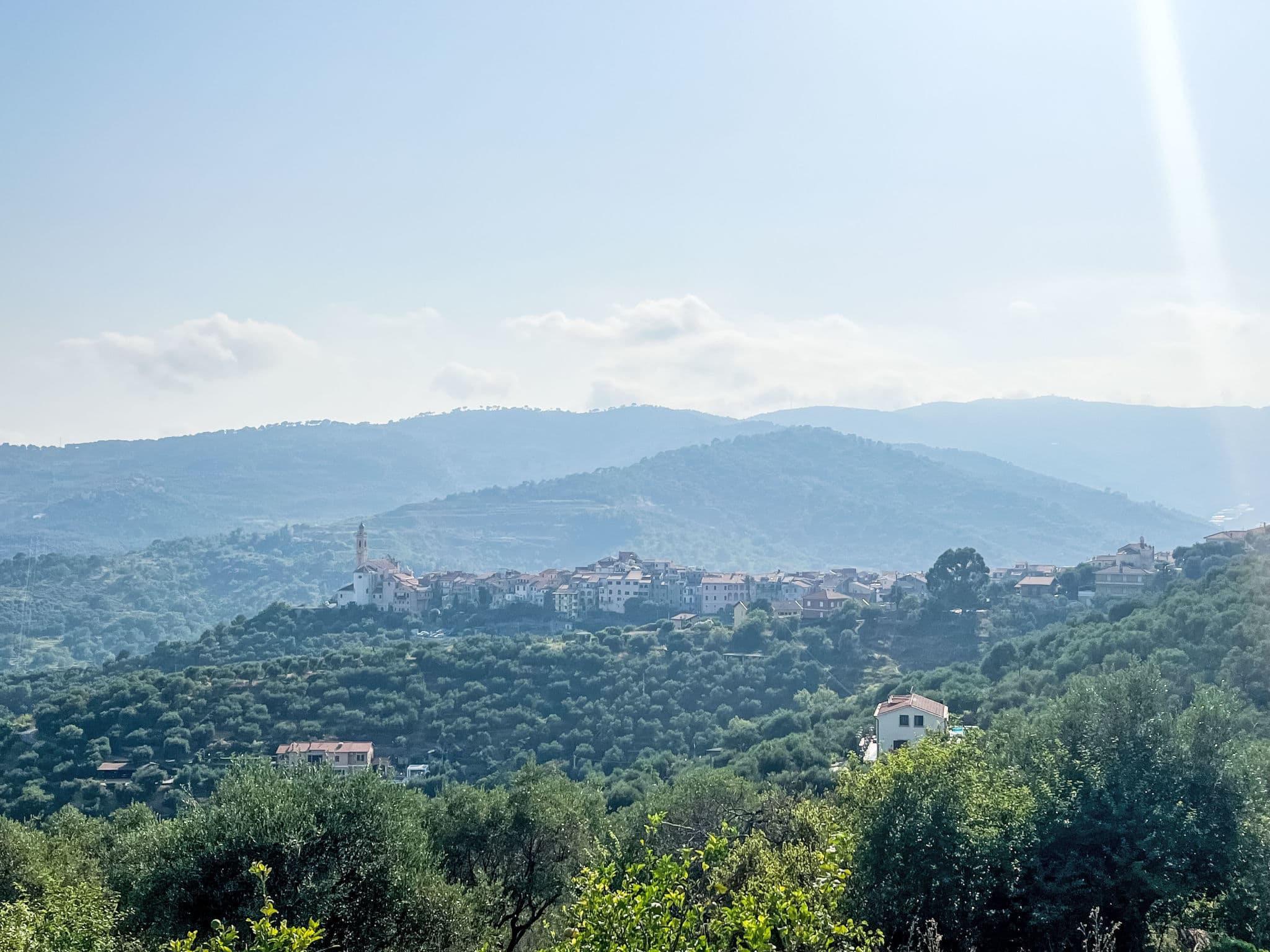 View