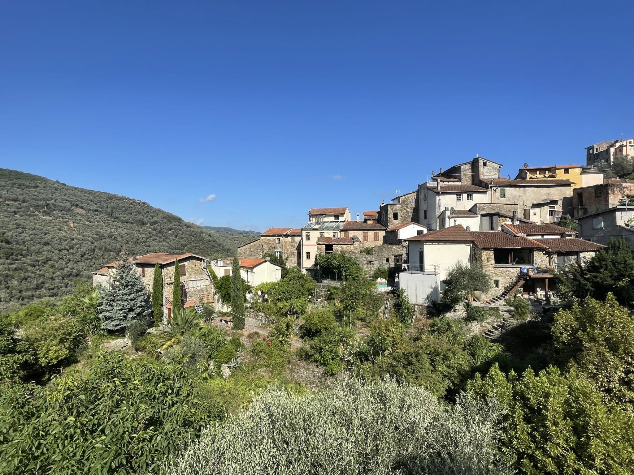 View