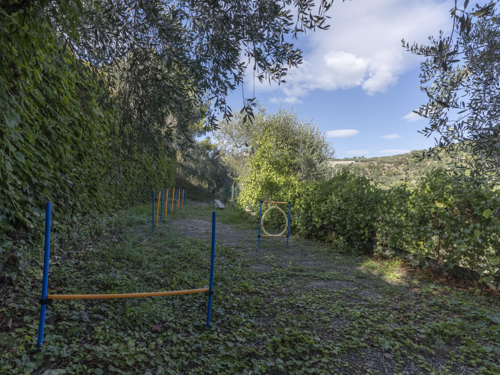 Outdoor