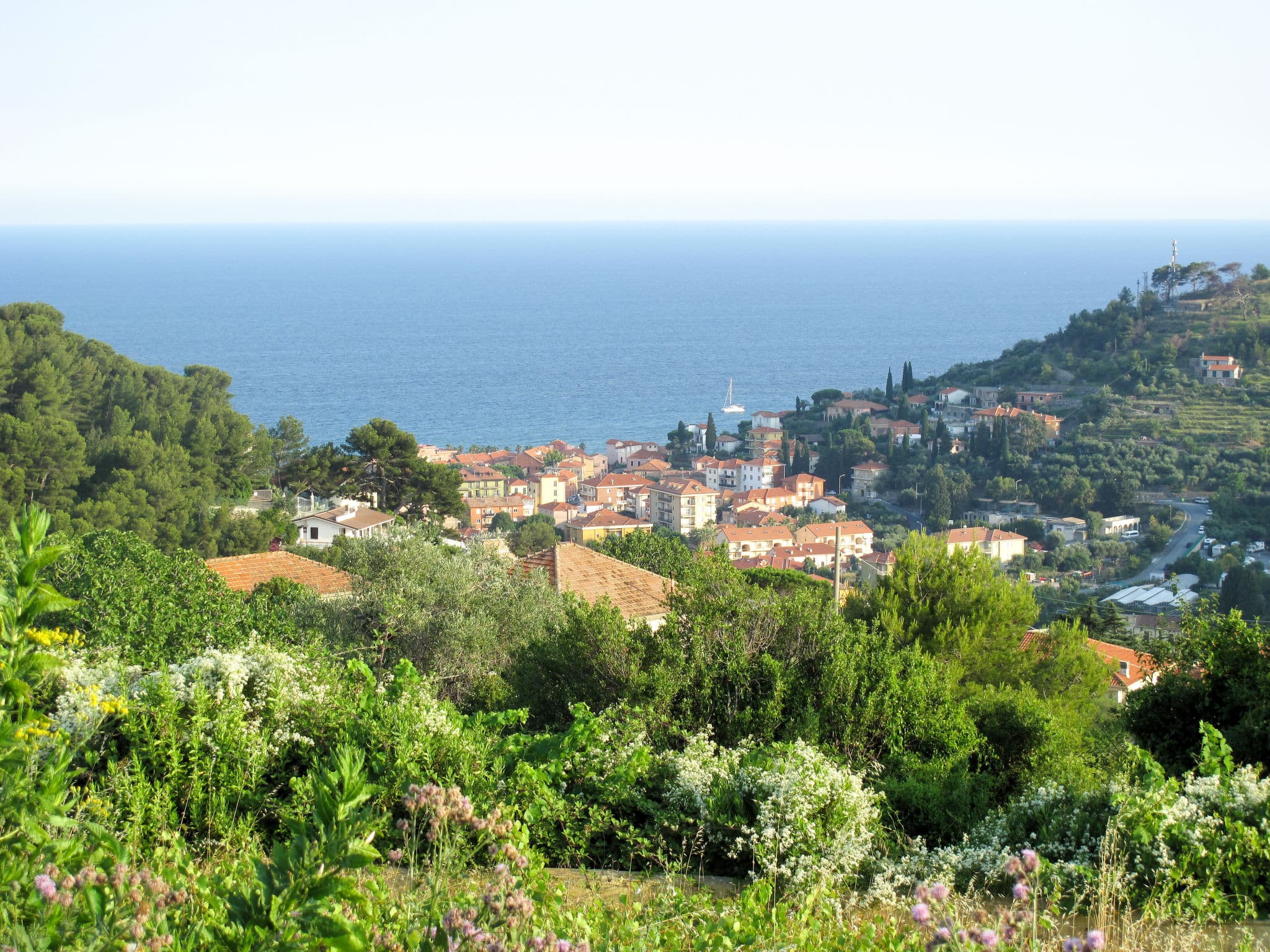 View