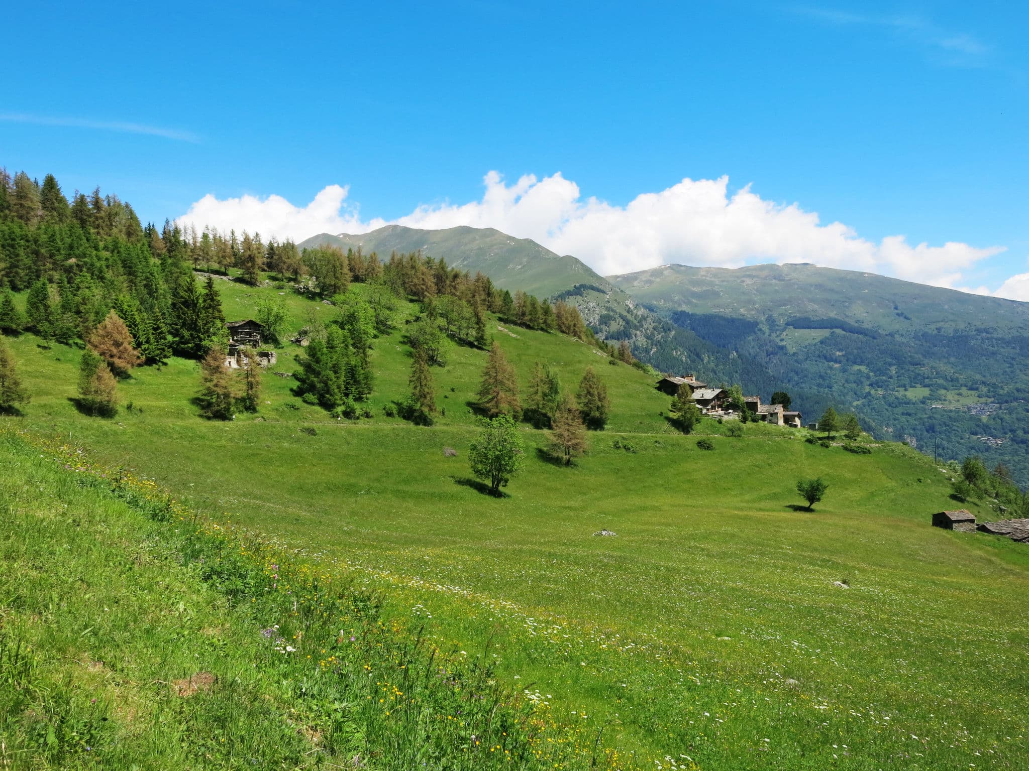 View