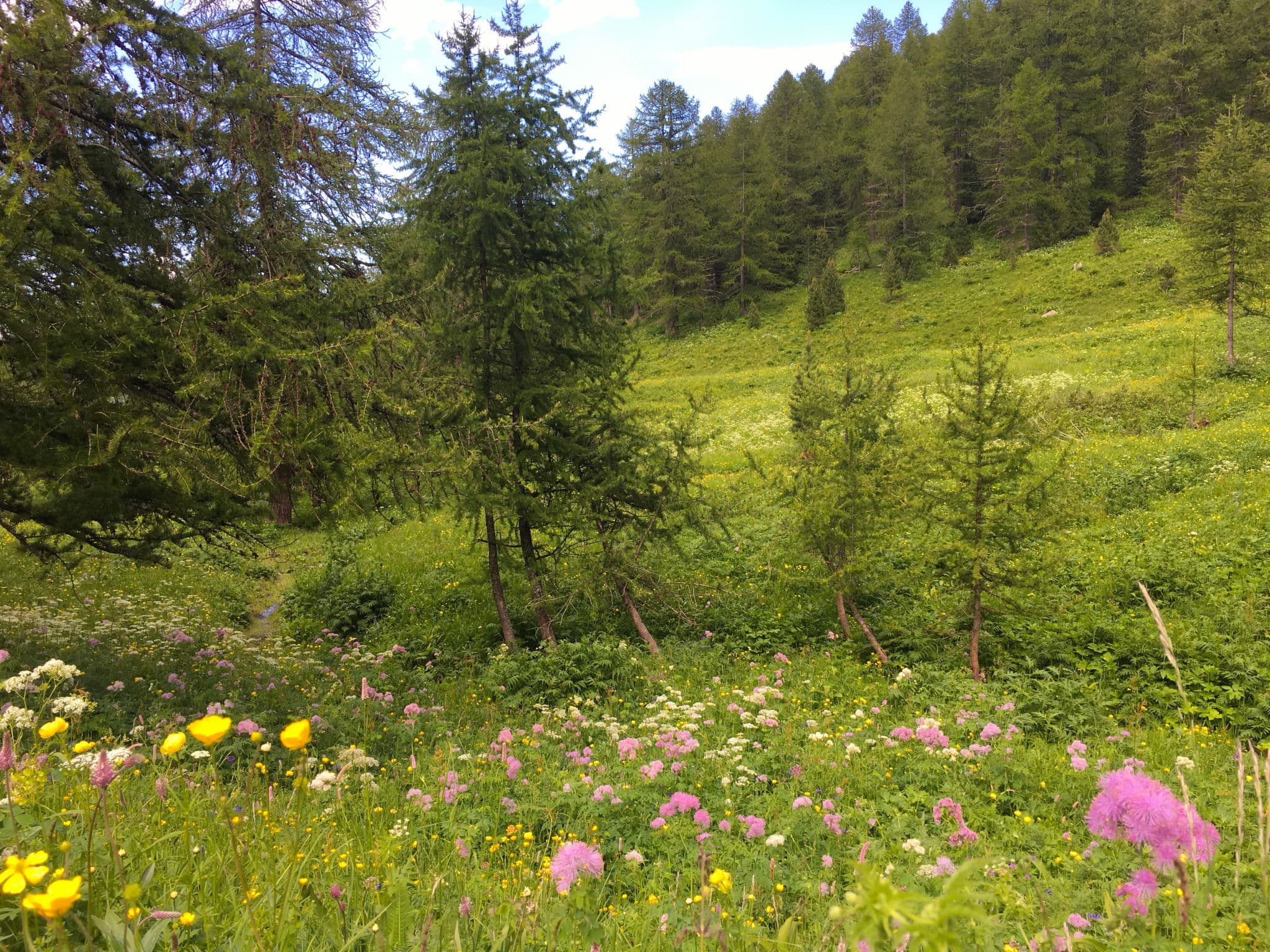 Place