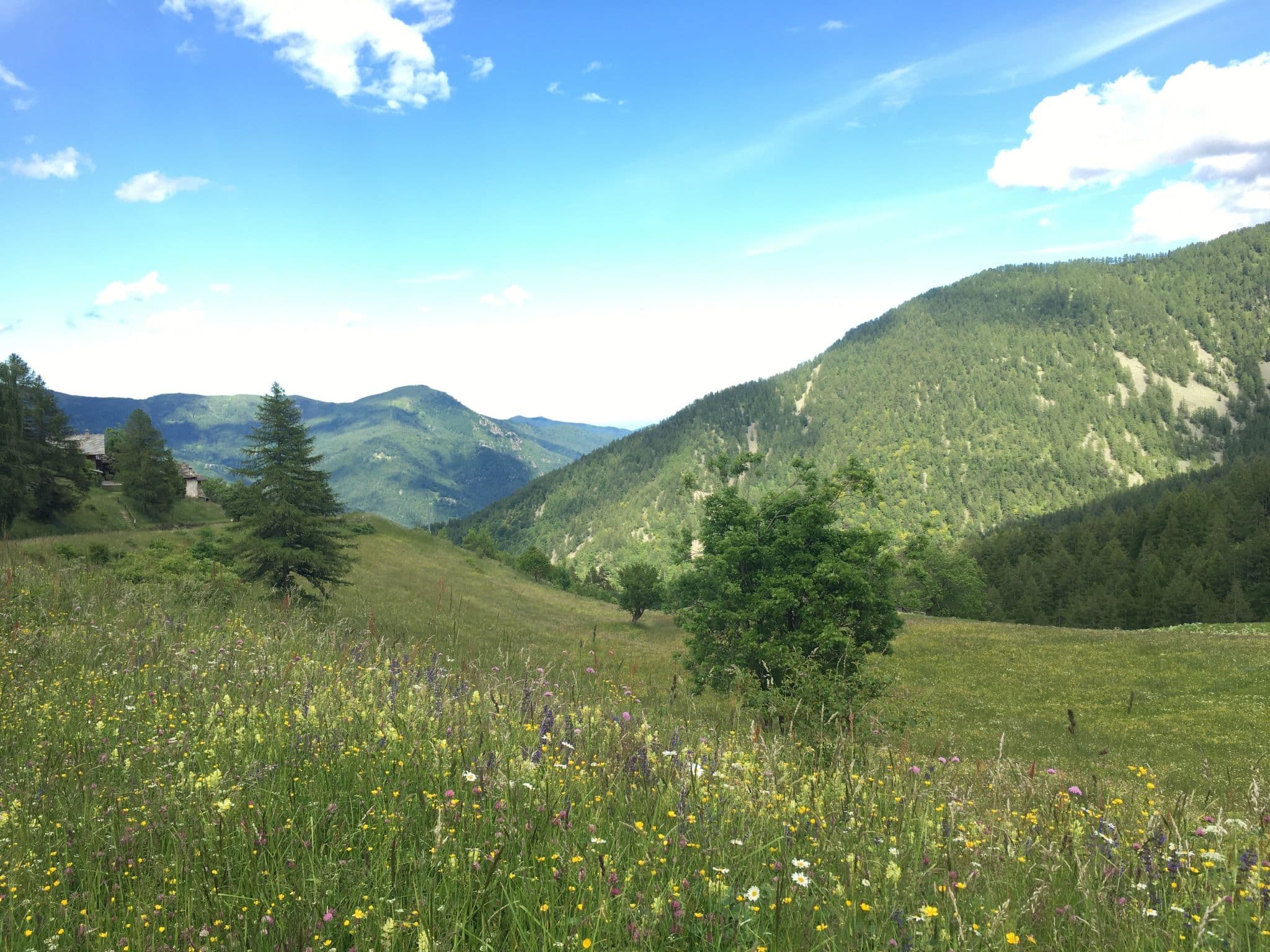 Place