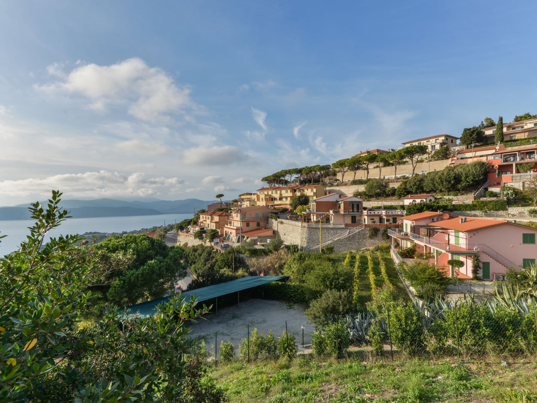 View