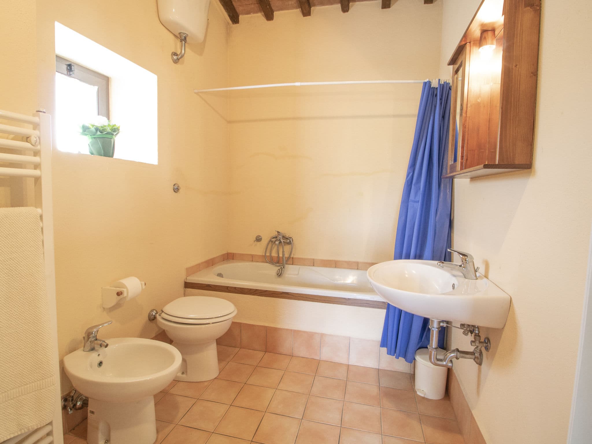 Bathroom / Wellness
