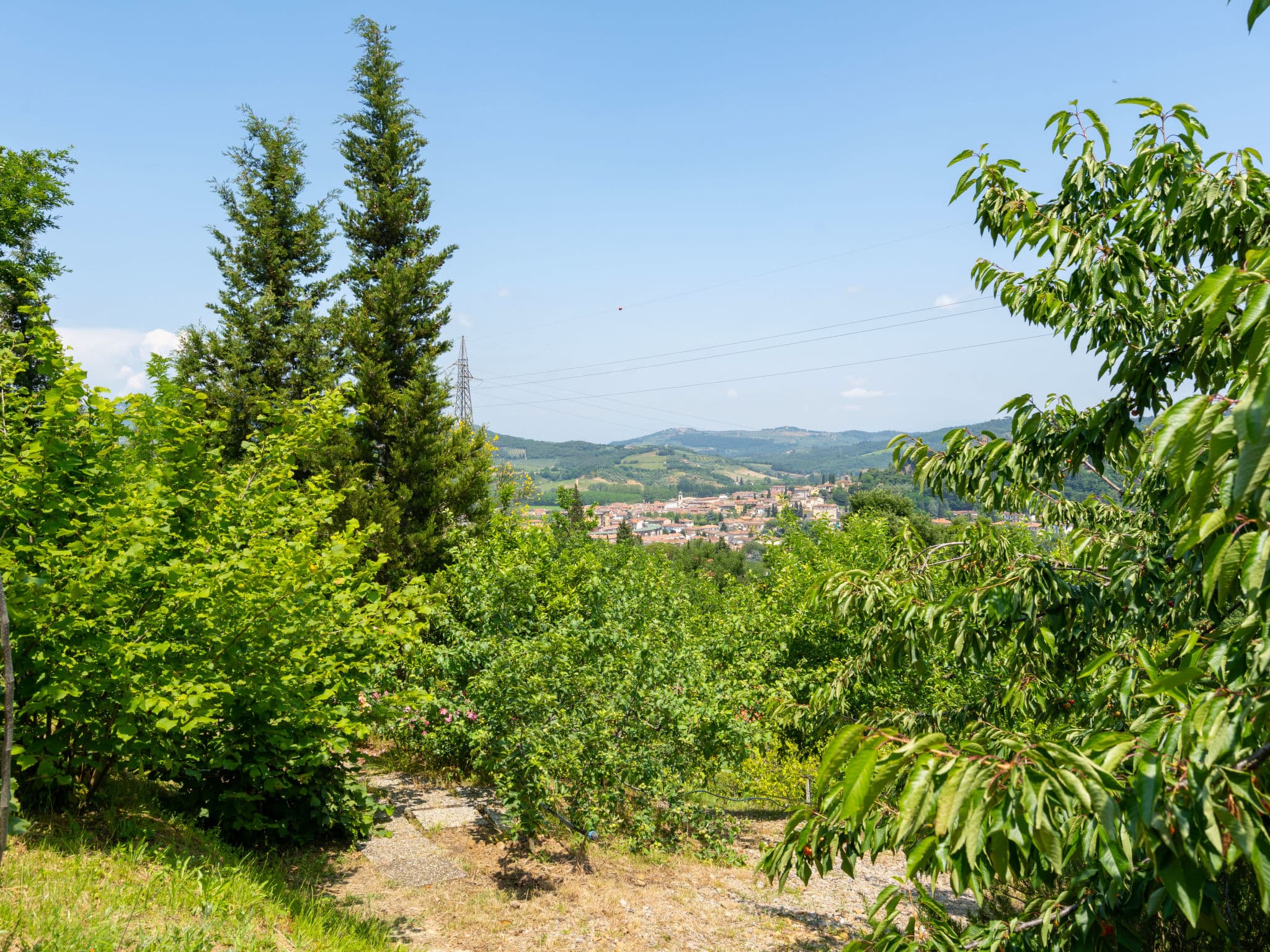 View